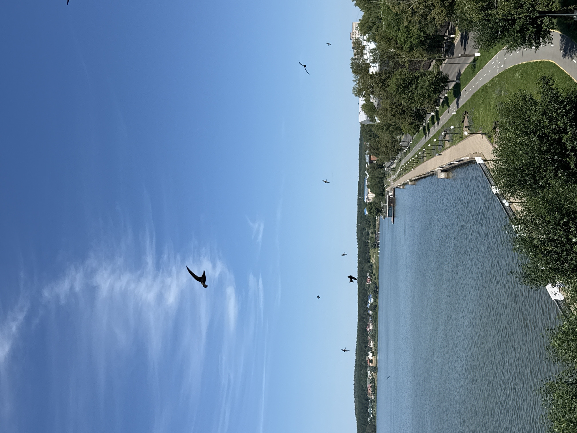 The image shows a scenic view of the Votkinsk Reservoir in Votkinsk, Russia. In the foreground, a lush green embankment is visible, leading down to the tranquil blue waters of the reservoir. A paved walkway with lampposts runs along the reservoir's edge, suggesting a popular promenade. Across the water, a picturesque town with houses and trees lines the distant shore. Several birds are captured in flight against a clear blue sky dotted with wispy clouds, adding a dynamic element to the peaceful landscape. The overall impression is one of natural beauty and urban tranquility, characteristic of a riverside city.