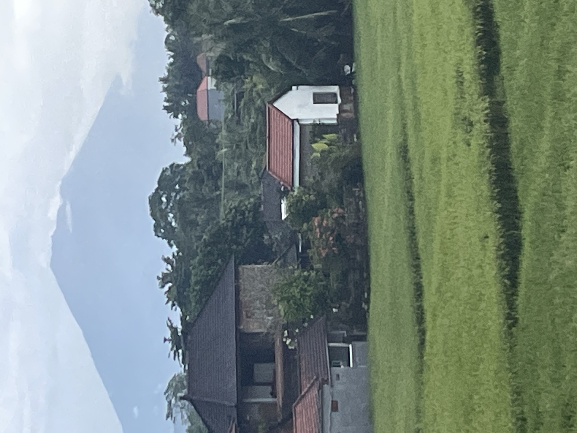 The image captures a serene landscape encompassing natural elements and rural dwellings. In the far left background, a large mountain or volcano, partially obscured by clouds or atmospheric haze, rises prominently against a light sky. Its peak is a soft, light grey tone, suggesting distance or an overcast day.
In the mid-ground, a collection of houses with pitched roofs is nestled amidst dense tropical vegetation. One distinct house, slightly to the right, features white walls and a reddish-brown tiled roof, with a dark rectangular window visible. Other structures with dark grey, brown, and reddish-brown roofs are visible, interspersed among the lush green trees and bushes, indicating a small settlement.
Dominating the right foreground are vibrant green rice paddies, meticulously arranged in distinct, parallel rows or terraces, showcasing the texture of the growing rice plants.
The scene appears to be set during daytime, likely under an overcast sky or during a period of haze, which lends a soft, diffused light to the landscape. There is no discernible activity or any individuals present. The combination of rice fields, tropical foliage, and a prominent mountain suggests a location in Southeast Asia, possibly a volcanic region like Bali. No text is visible in the image.