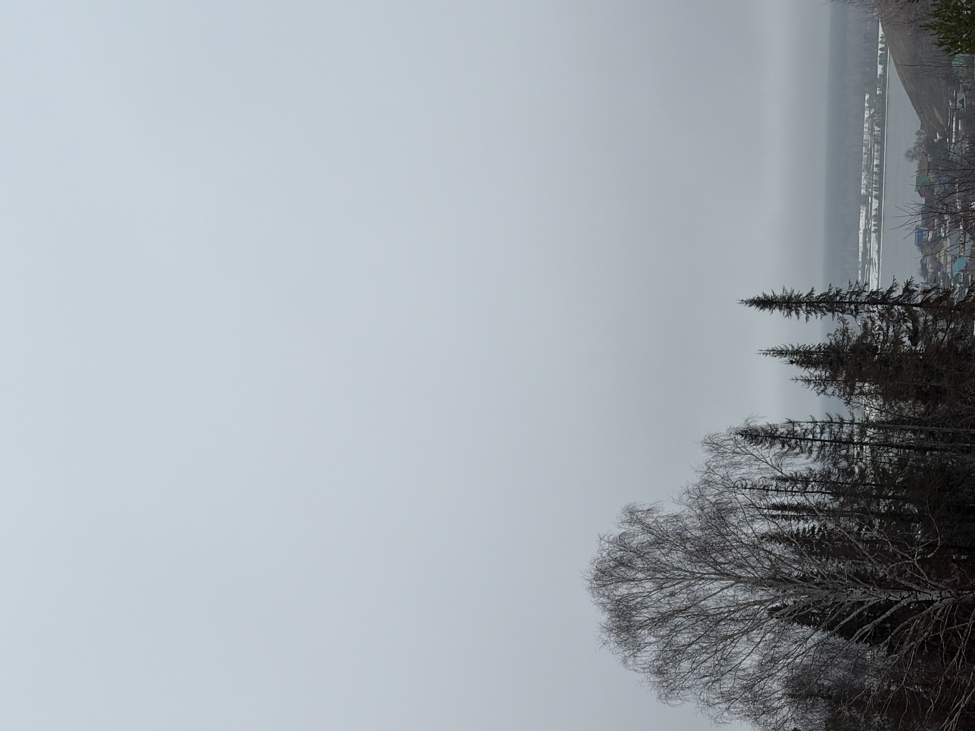 The image shows a winter scene in Ольховка, Russia. The sky is overcast. A body of water, possibly a lake or river, stretches horizontally across the upper portion of the image, with the opposite shoreline visible and lined with houses, some of which appear to have snow-covered roofs. In the foreground, trees are silhouetted against the grey sky. A bare deciduous tree with many branches dominates the lower portion, interspersed with darker coniferous trees behind it. The photograph has been taken with a vertical orientation.