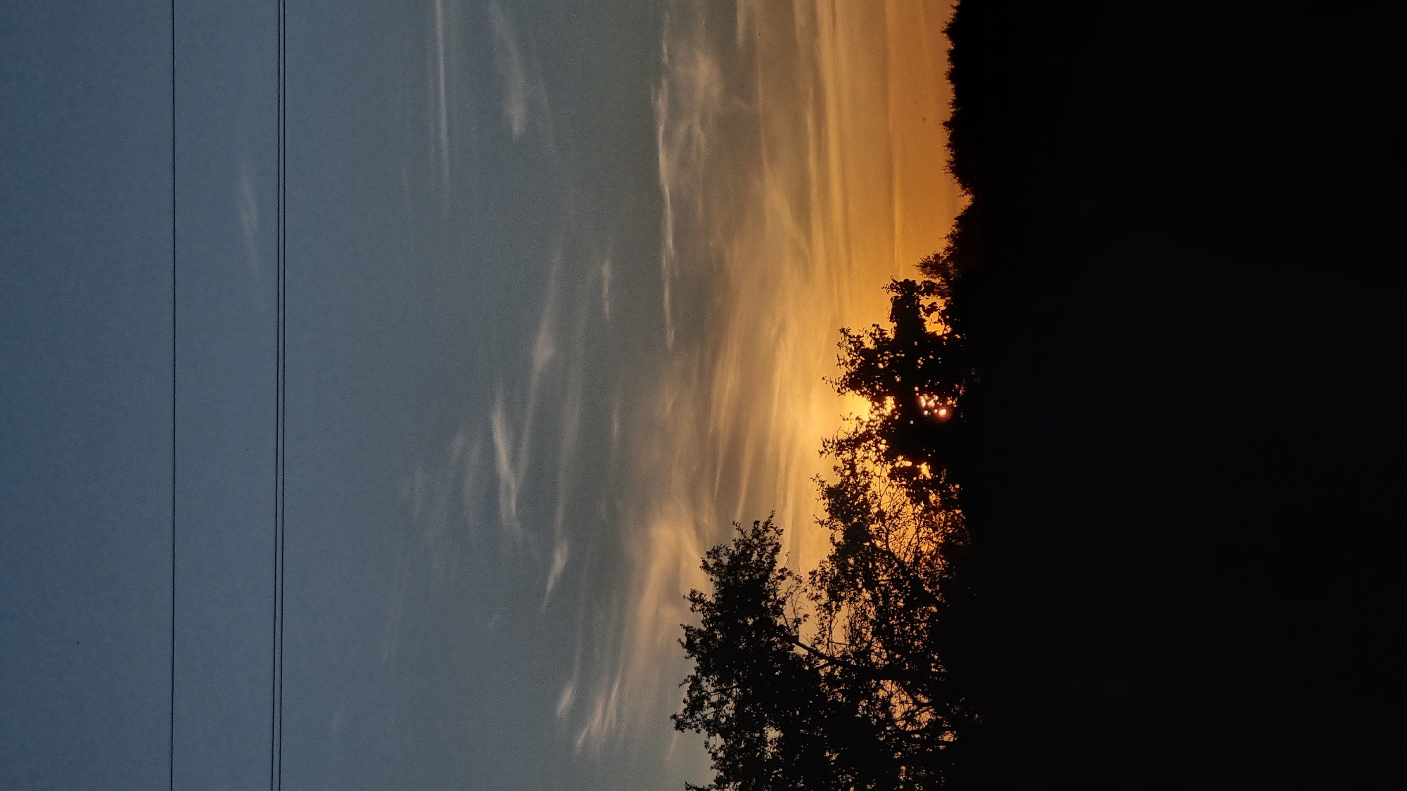 The image depicts a silhouette of trees and foliage against a vibrant sunset sky. The sky transitions from a deep blue at the top to shades of orange and yellow near the horizon, with wispy clouds streaked across it. Two parallel, thin, dark lines, likely power lines, are visible horizontally across the upper portion of the sky. The foreground is dominated by the dark silhouette of a treeline, with the sun partially visible behind the leaves of the trees, creating a sunburst effect. The bottom part of the image is completely black, obscuring any ground detail. The scene is set in Vysokoe, Russia.