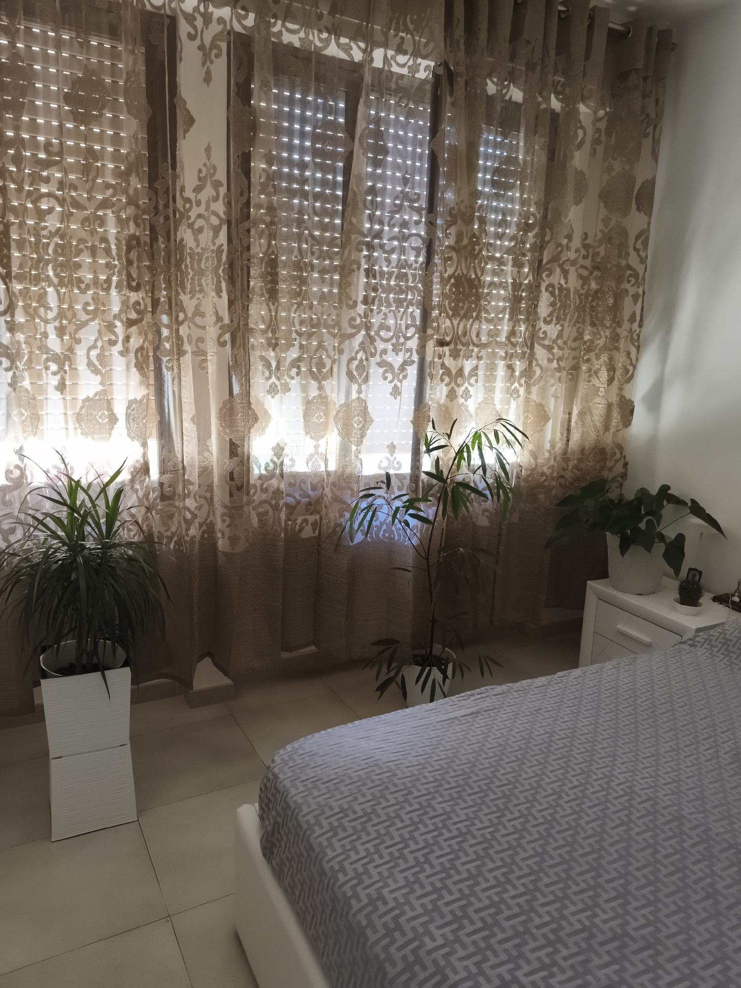 The image depicts a bedroom interior with a large window covered by sheer, patterned curtains and blinds. Sunlight streams through the window, illuminating the room. In the foreground, a bed with a grey patterned duvet is visible. To the left of the bed, there are several potted plants, including a tall plant in a white planter. A white nightstand with a drawer sits to the right of the bed, holding a small decorative item. The floor is tiled in a light beige color. The scene is likely an indoor residential space, possibly a bedroom, located in Livorno, Italy.