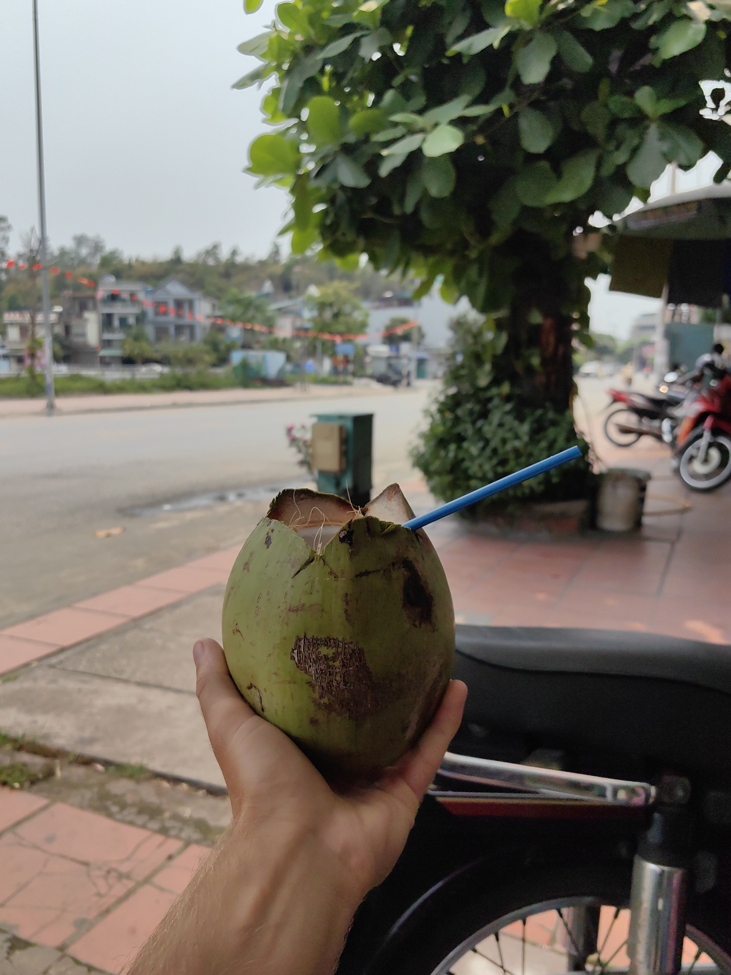 A person is holding a green coconut with a blue straw in their hand. The background shows a street scene, likely in Cao Xanh Ward, Vietnam. There are buildings, trees, motorbikes parked on the sidewalk, and a road in the distance. The foreground includes the person's hand holding the coconut and part of a motorbike, suggesting they are sitting on one. The overall scene appears to be a casual, outdoor setting.