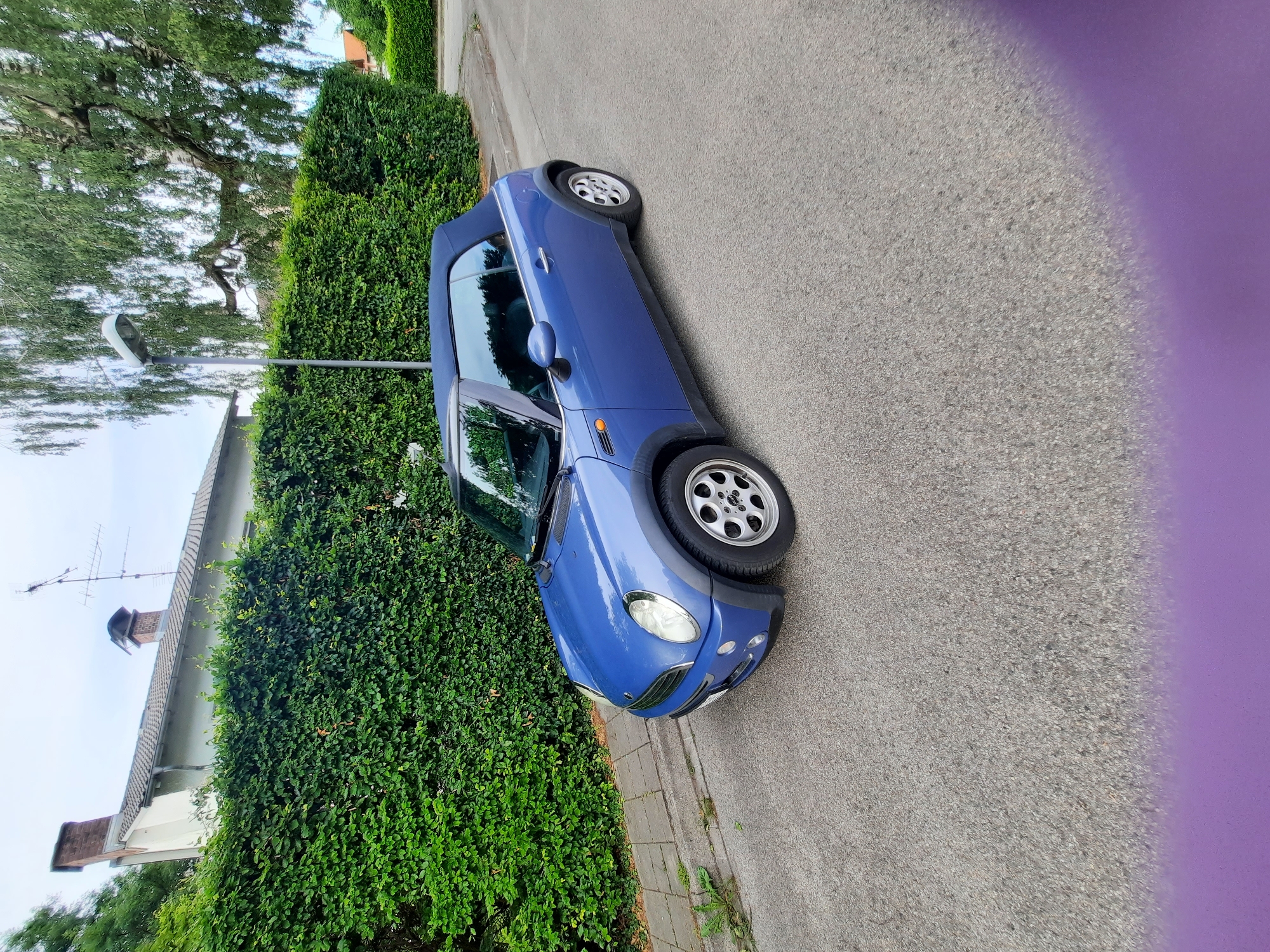 The image shows a blue convertible Mini Cooper parked on a street in Rosenheim, Germany. The car is facing left, with its soft top down. It is parked next to a neatly trimmed green hedge and a paved sidewalk. In the background, a house with a red-tiled roof and an antenna is visible, partially covered by ivy. A tall tree with lush green foliage stands behind the hedge. The sky is overcast, suggesting a cloudy day. The overall scene depicts a quiet residential street. There are no people or animals visible in the image. The image is oriented vertically and a purple blur is present in the right portion of the frame.