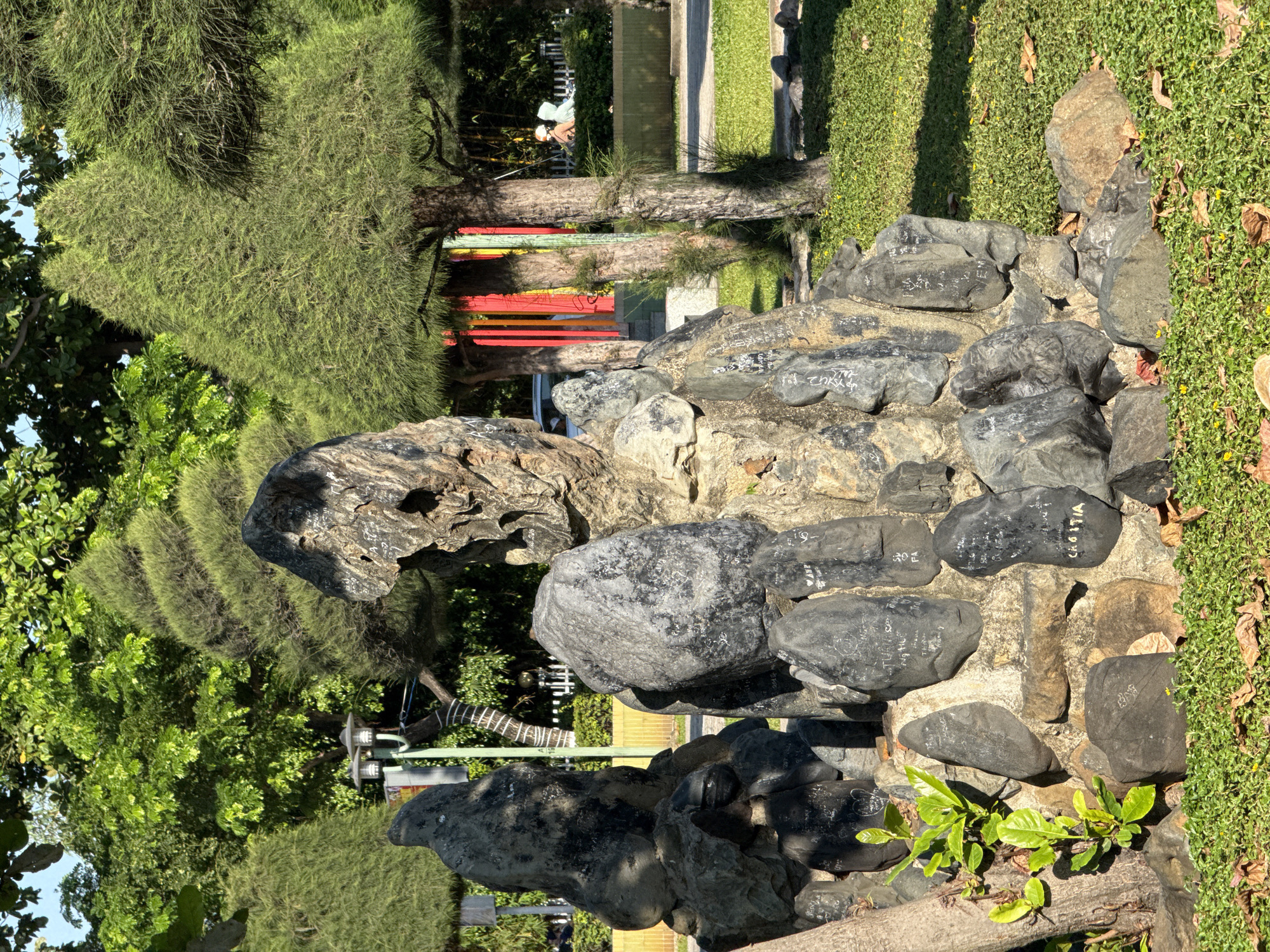 The image depicts a section of a park in Nha Trang, Vietnam, featuring a rock sculpture adorned with inscriptions. The sculpture is centrally located in the foreground, with various large and medium-sized rocks forming an irregular mound. Many of these rocks have names and words etched onto their surfaces, visible in black text. A young, green plant with broad leaves grows from the base of the sculpture on the left side, near a tree trunk. The ground around the sculpture is covered in short green grass, with scattered brown leaves and small yellow wildflowers. In the background, several conical-shaped evergreen trees are visible, along with a lamp post and a fence. Further in the distance, behind the trees and fence, there are colorful vertical poles and a glimpse of what appears to be a building or structure. Two individuals are seated in the background, facing away from the camera, near a white fence. The scene is illuminated by bright sunlight, casting shadows and highlighting the textures of the rocks and foliage.
