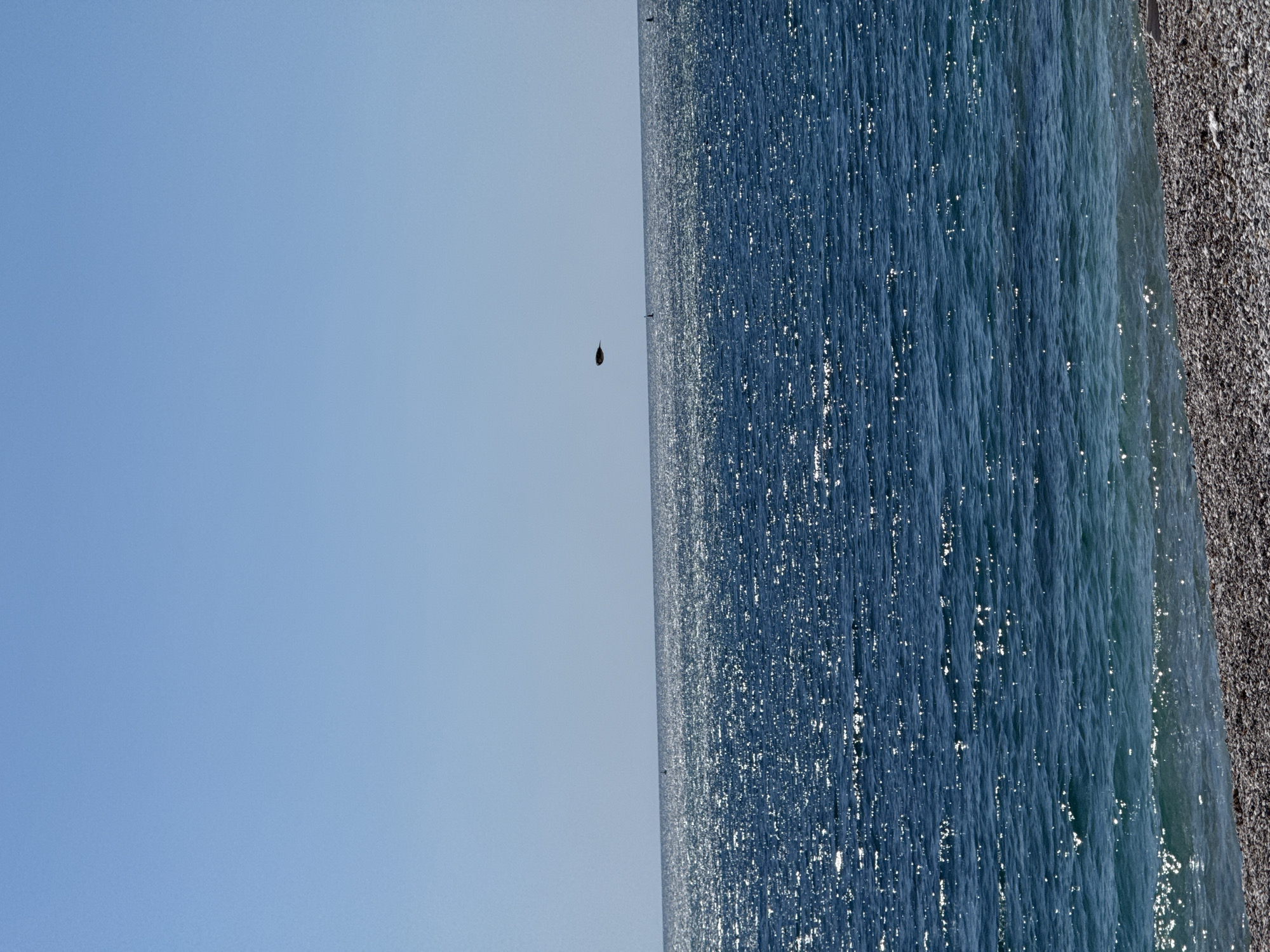 The image shows a landscape view of a beach in Unknown, Unknown. The right side of the image features a dark pebble beach adjacent to the blue sea. The sea covers most of the right half of the image. The left half of the image is a clear blue sky. There is a bird flying mid-air.