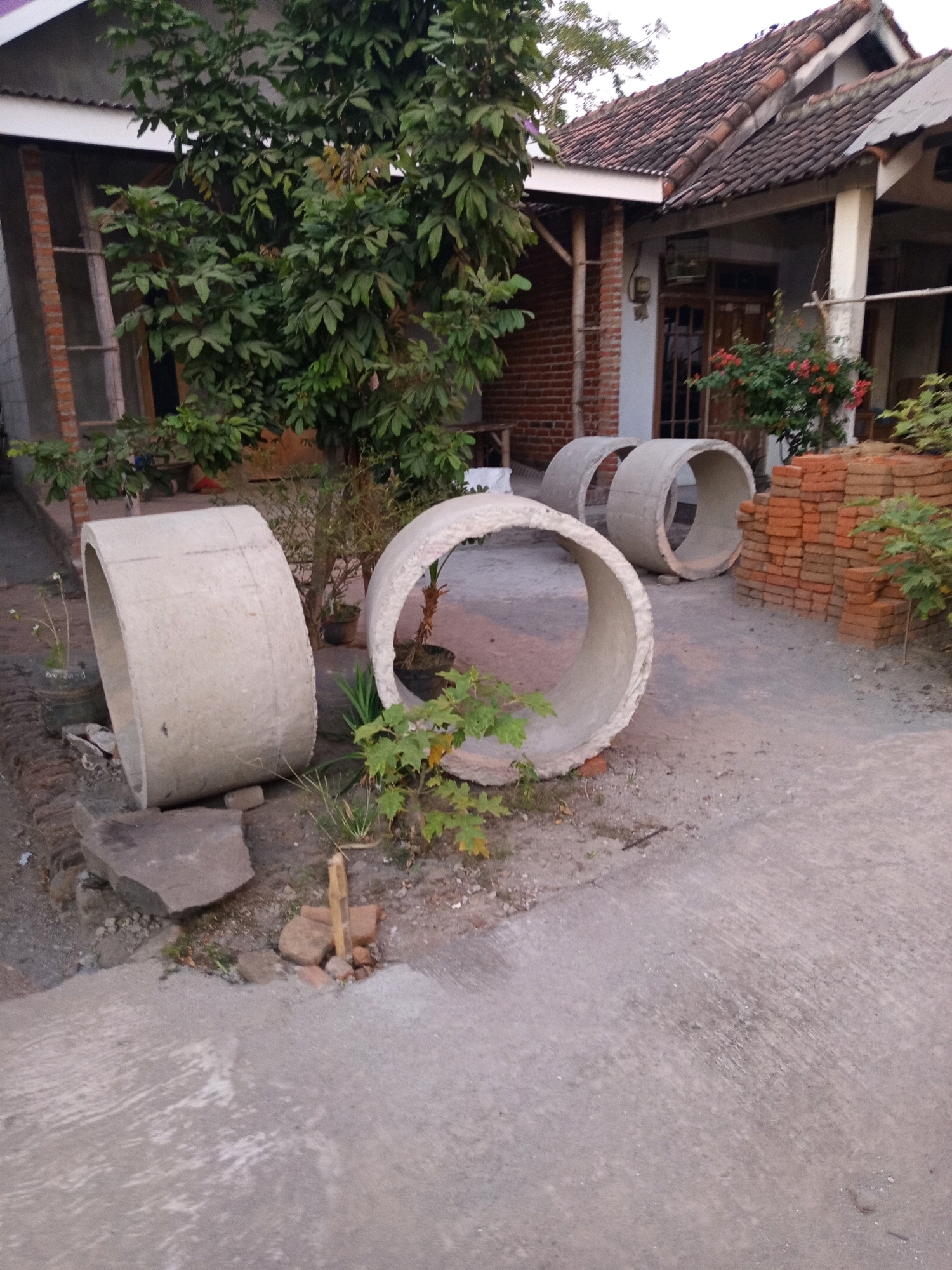 The image depicts an outdoor scene in Ngastemi, Indonesia, likely a residential area. In the foreground, a concrete pipe lies on its side on a concrete pathway. To the right of this pipe are two other similar concrete pipes, standing upright. Behind the pipes, a stack of red bricks is visible. Further back, a house with a tiled roof and white-painted walls is partially obscured by lush green foliage from a tree. The environment appears to be a yard or an area under construction. The lighting suggests it might be late afternoon or early morning. No individuals are present in the scene.