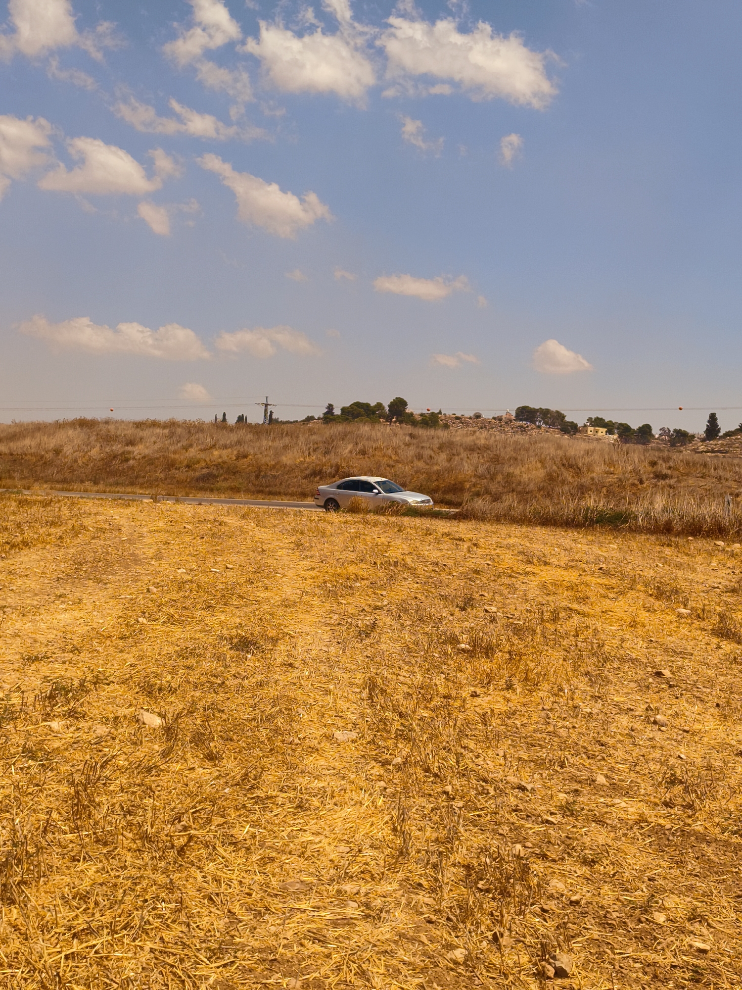 The image depicts a sun-drenched landscape with a car driving on a road that cuts through a field of dry, golden vegetation. The sky is a bright blue with scattered white clouds. In the distance, there are trees, buildings, and what appears to be a power line tower, suggesting a semi-rural or suburban setting. The foreground is dominated by the dry, straw-like ground cover. The overall impression is one of a warm, dry climate, possibly in the summer or late spring, in the Lachish Regional Council, Israel, given the vegetation and architecture.