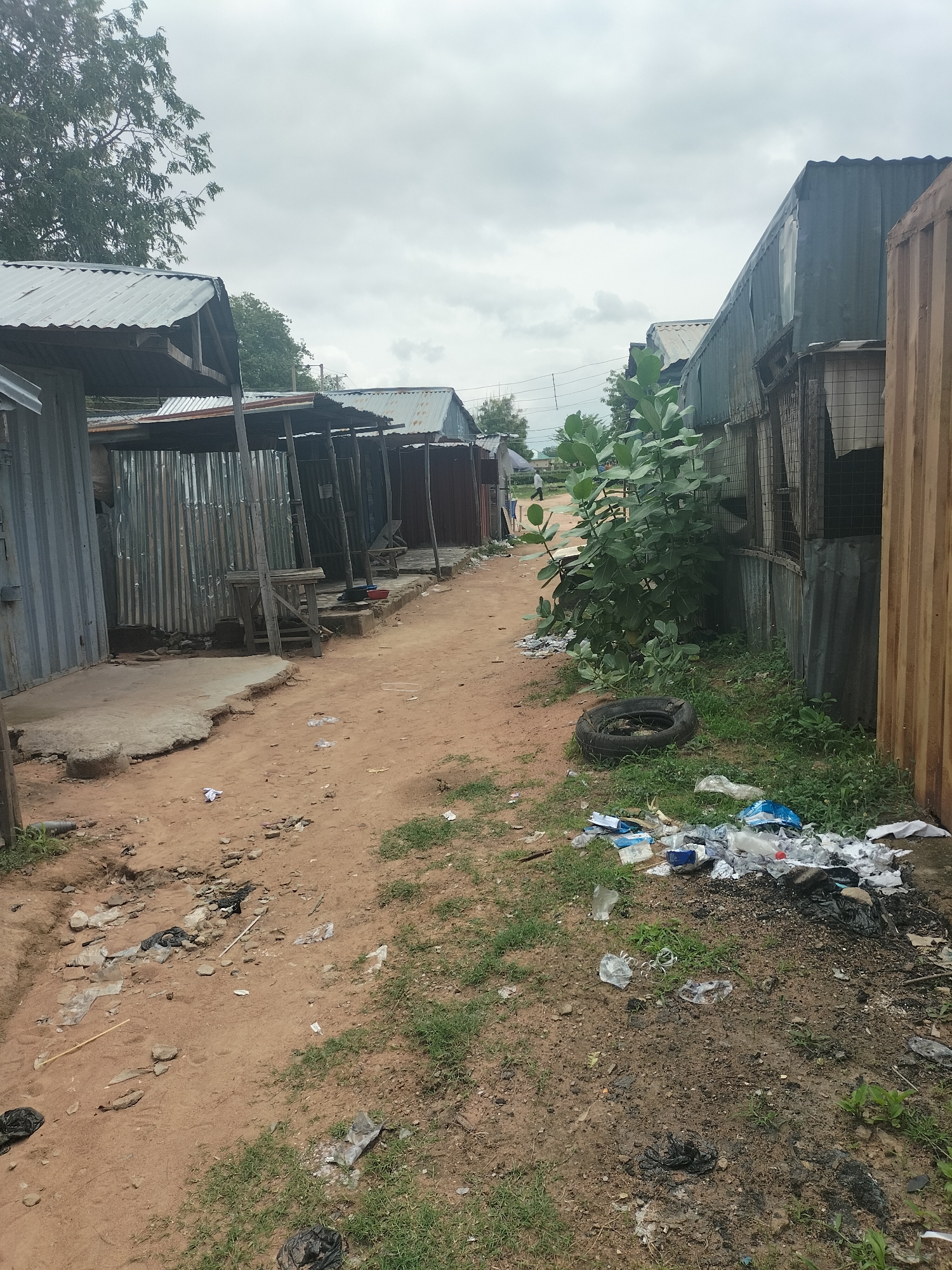 The image depicts an outdoor scene, likely a pathway or informal road, in Jalingo, Nigeria. The path is unpaved and made of red earth, with patches of grass growing along its sides. Numerous items of litter are scattered across the ground, including plastic bottles, bags, and other debris.
Flanking the path are structures constructed primarily from corrugated metal sheeting. These appear to be small shops or shelters, with some having open fronts and others enclosed. Some of the metal sheeting is weathered and shows signs of rust. In the foreground on the right side of the path, a pile of refuse is visible, including a discarded tire.
Vegetation is present, with a large leafy plant growing near the structures on the right. In the background, more buildings and trees are visible under an overcast sky. The overall impression is of a densely populated area with informal infrastructure and significant litter accumulation. No people are clearly identifiable in the scene.