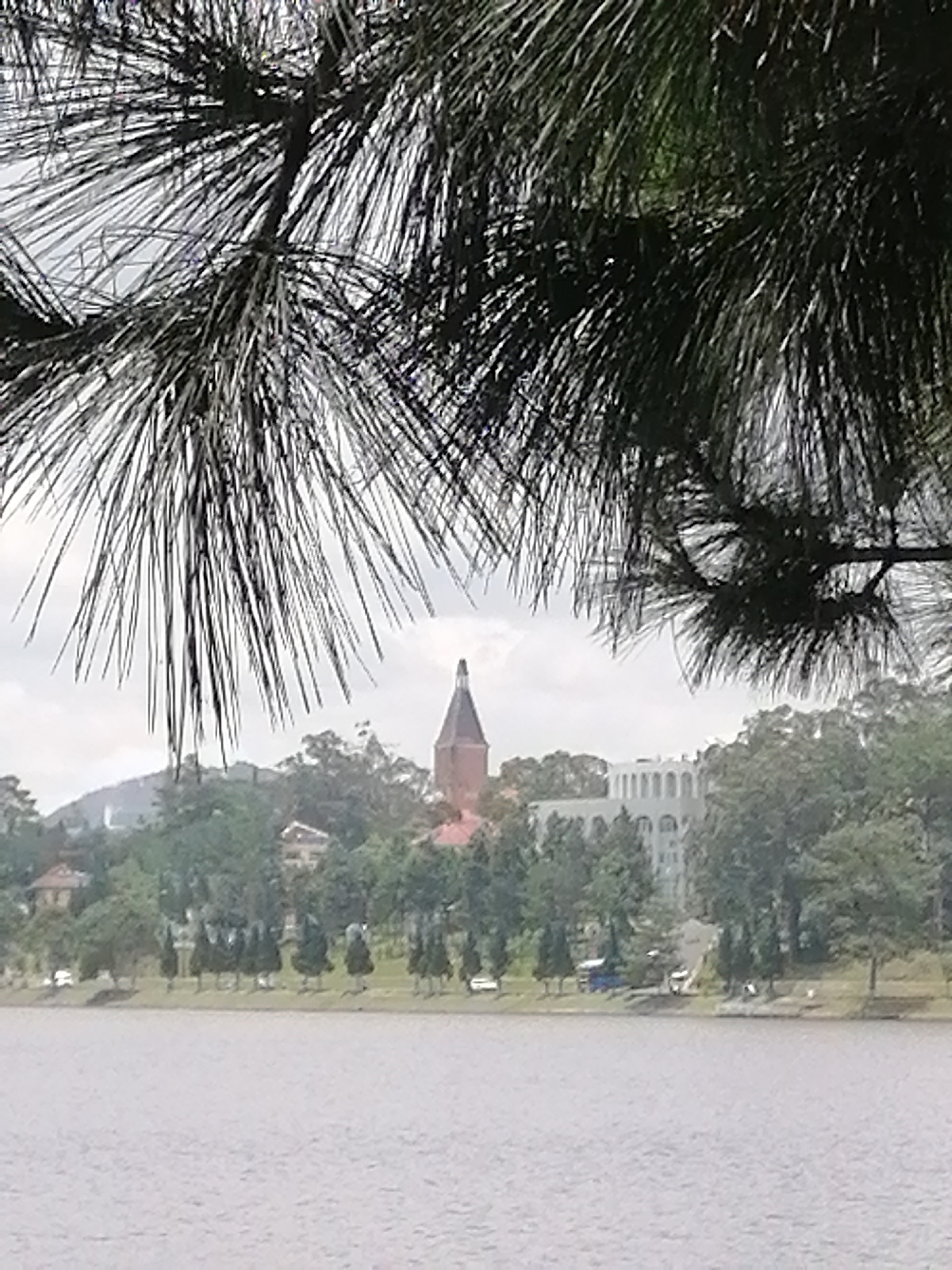 This image depicts a scenic view of Xuan Huong Lake in Da Lat, Vietnam. In the foreground, the dark, needle-like branches of a pine tree create a natural frame, partially obscuring the background. Beyond the trees lining the shore, a prominent brick clock tower with a pointed spire dominates the mid-ground. To the right of the tower, a large, white building with a distinctive arched facade is visible. The lake itself occupies the bottom portion of the image, its surface calm and reflecting the overcast sky. A line of trees and some buildings can be seen along the far shore.