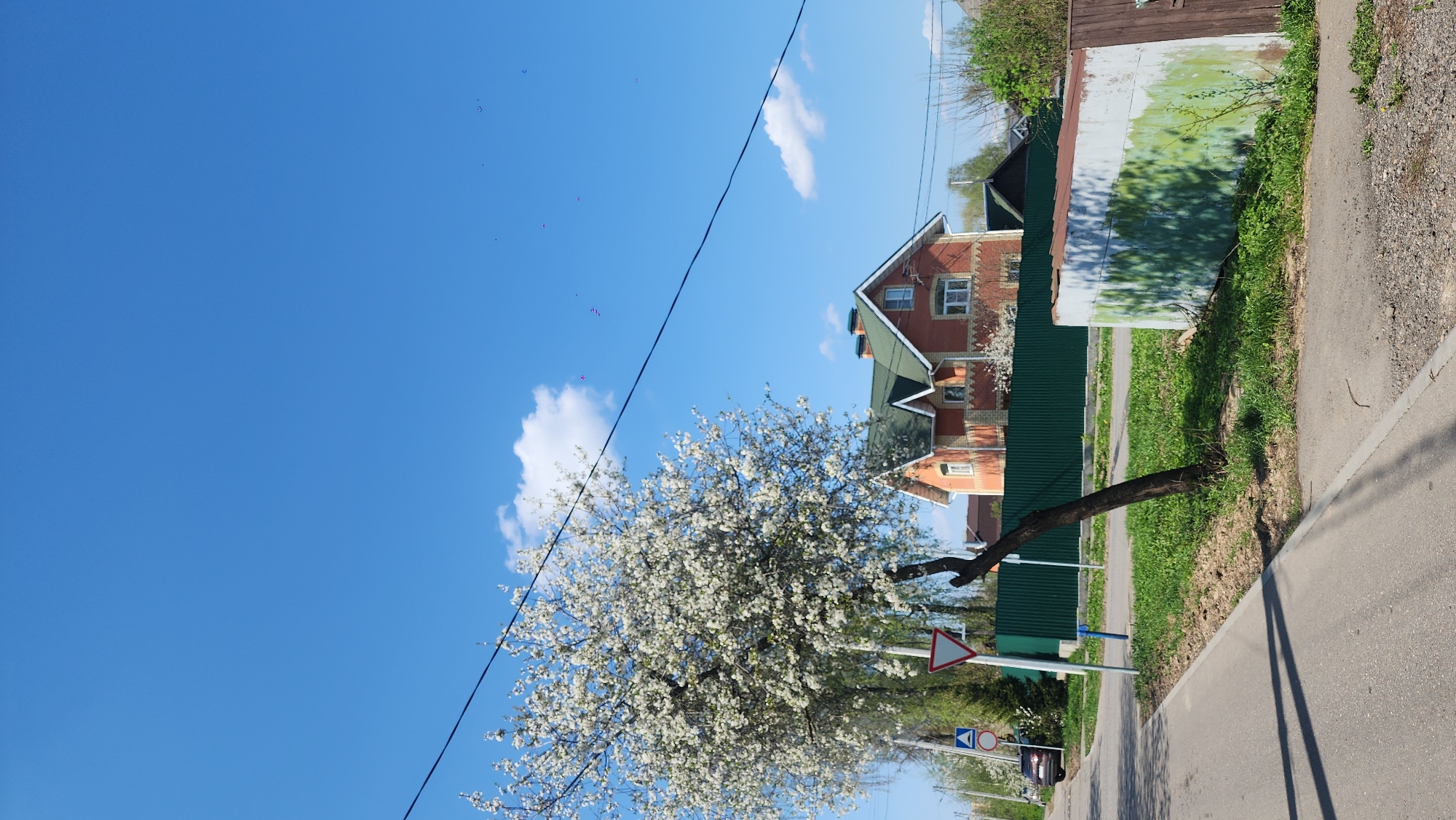 The image shows a street scene with a clear blue sky. A blooming tree with white flowers is prominently featured. A two-story brick house with a green roof is partially visible behind the tree. A green fence runs along the side of the road. A sidewalk and a portion of the street are visible in the foreground. Road signs, including a "Yield" sign, are present. A small shed or outbuilding with a weathered exterior is situated next to the fence. The location appears to be a residential area, potentially in the city of Moscow, Russia, based on the style of the buildings and foliage. There are no people visible in the image.