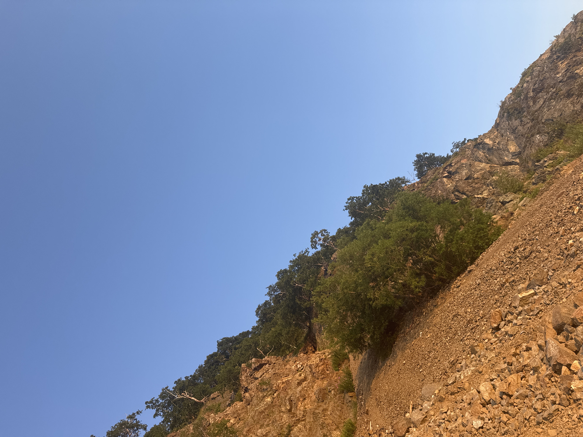The image depicts a steep, rocky mountainside with scattered trees under a clear blue sky. The foreground is dominated by loose, reddish-brown rocks and gravel, indicating a scree slope or an area prone to erosion. Further up the slope, larger rock formations are visible, interspersed with green foliage. The trees appear to be deciduous, with dense green leaves, and are growing on ledges and the upper parts of the mountain. The lighting suggests it is either early morning or late afternoon, with the sun casting a warm glow on the rocks. The scene is natural and rugged, with no signs of human habitation or activity. This view is consistent with the natural landscape found in and around Petropavlovsk-Kamchatsky, Russia, a city known for its volcanic terrain and mountainous surroundings on the Kamchatka Peninsula.