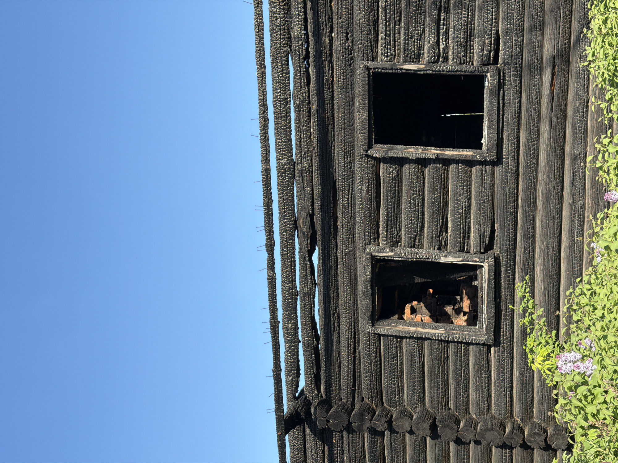 The image depicts a partially destroyed wooden structure against a clear blue sky. The wooden exterior is heavily charred and burned, suggesting it was damaged by fire. There are two window openings; the upper one is empty, while the lower one reveals charred remains of what might have been contents within the structure. On the right side, greenery including flowering plants clings to the burnt facade. The wooden beams are distinct with a charred texture. The location is inferred to be in the city of Chaikovsky, Russia.