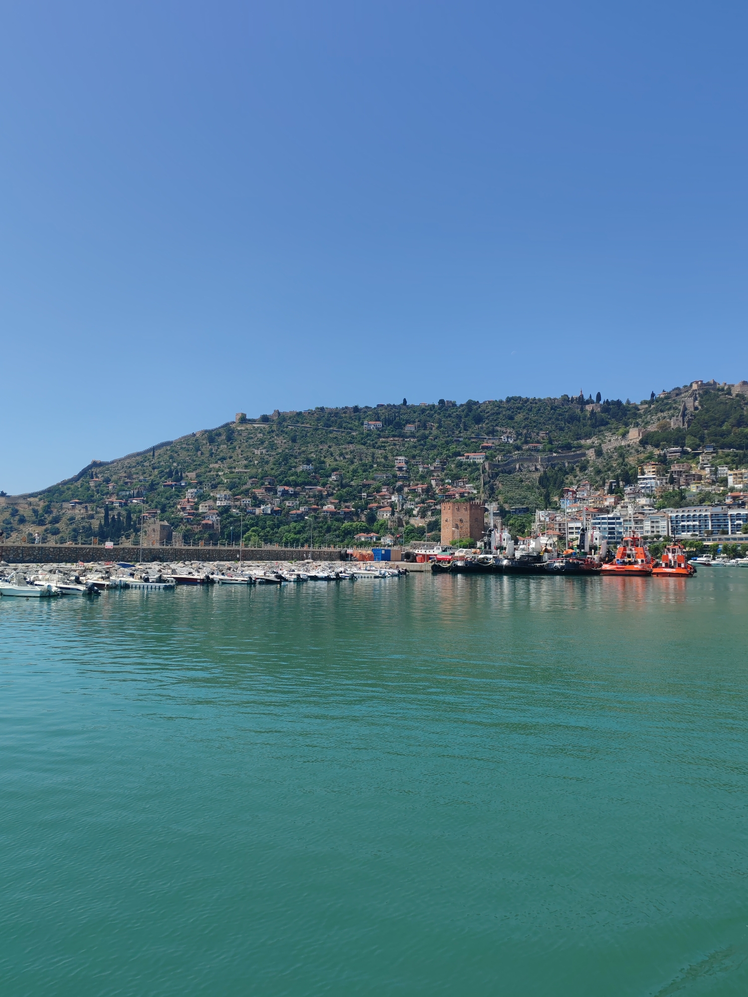 The image captures a view of Alanya, Turkey, specifically focusing on the harbor and the prominent hill rising behind it. In the foreground, turquoise-colored water extends towards the middle of the frame. Numerous small boats are docked along the harbor, stretching horizontally across the frame. A line of larger vessels, including tugboats, are docked further along the harbor.
Behind the harbor, the hilly terrain is dotted with buildings and vegetation, characteristic of Alanya's landscape. The architecture includes a mix of residential and commercial structures. On the hill is the red tower, a historical landmark. A clear blue sky forms the backdrop, indicating a sunny day.