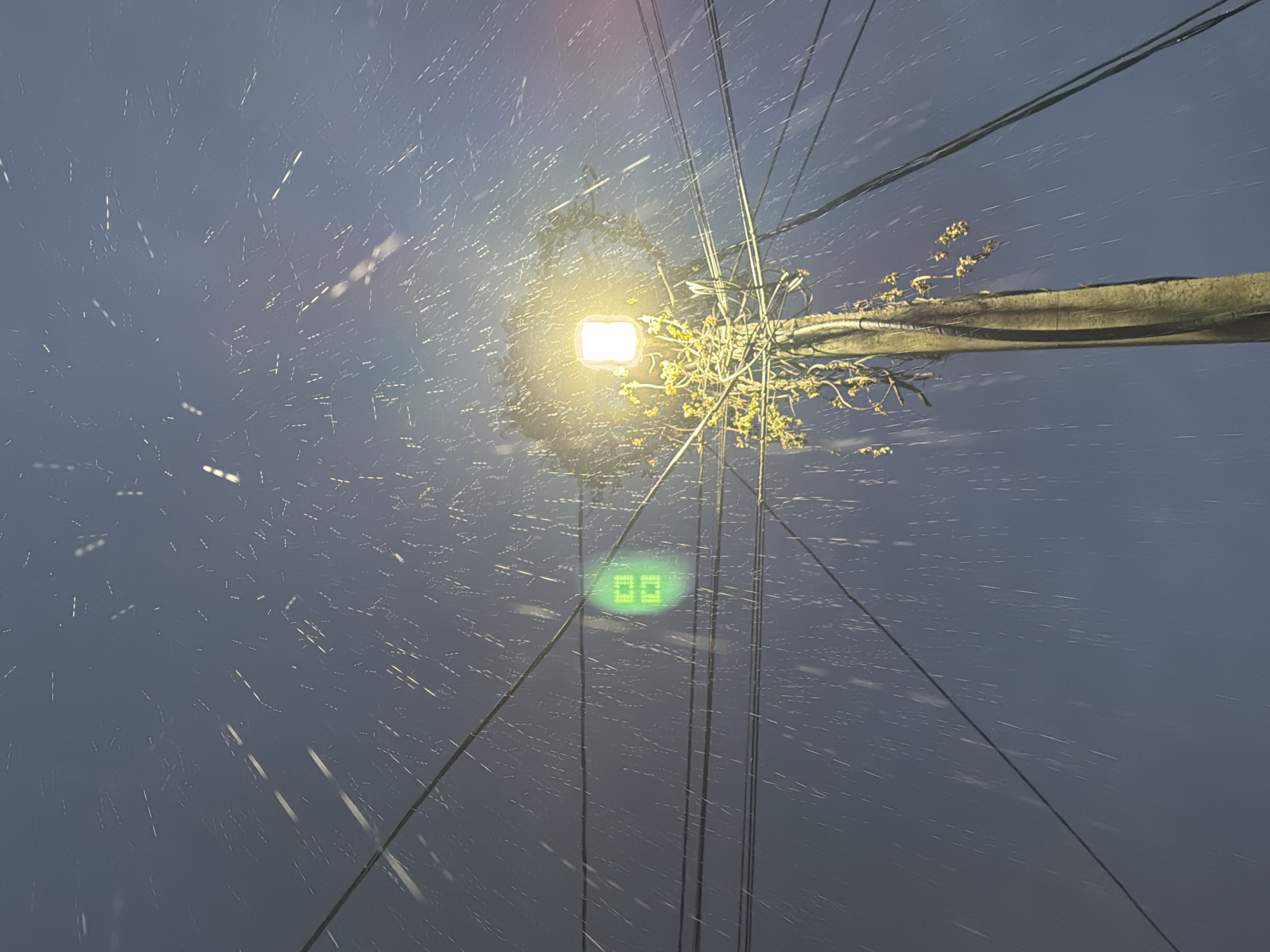 This is a low-angle, eye-level shot of a street light on a wooden pole at night in Sochi, Russia. The street light is illuminated with a warm yellow glow and is surrounded by dark branches and some small yellow flowers. Several power lines crisscross the frame in front of a dark blue, cloudy sky. There are many streaks of light, which appear to be rain or snow falling, visible against the dark sky. In the upper left quadrant of the image, a faint green circular light is visible, possibly a traffic signal or illuminated sign. The scene depicts a dreary, inclement weather night.