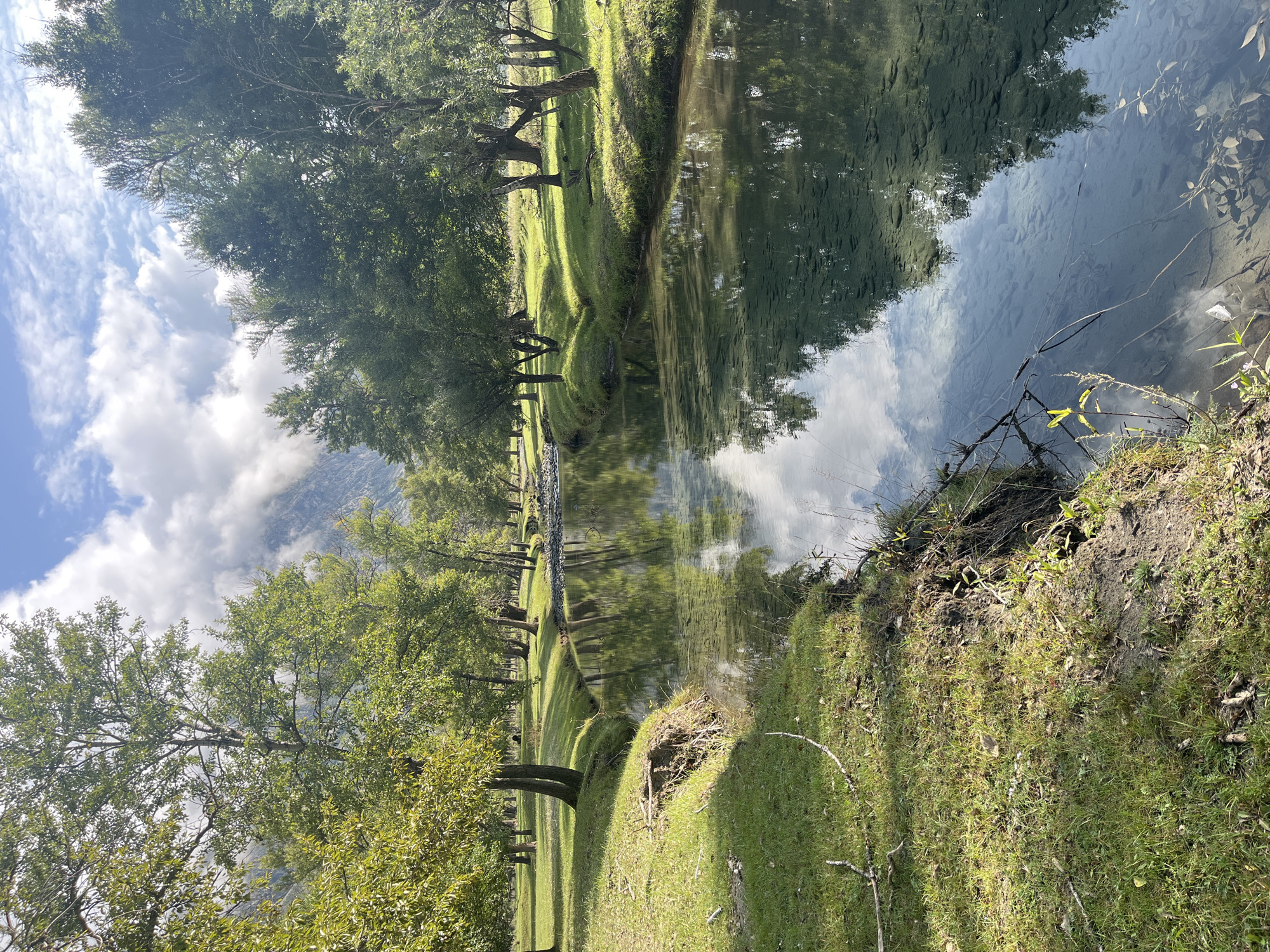A clear, shallow stream flows through a park-like area with lush green grass and numerous trees. The water reflects the sky, which is partly cloudy with patches of blue, and the surrounding trees. The stream banks are uneven and covered in grass, with some exposed soil. In the distance, mountains are visible, partially obscured by clouds. The scene appears to be a natural and serene landscape. There are no people or animals visible in the image. The location is identified as Koo, Russia.