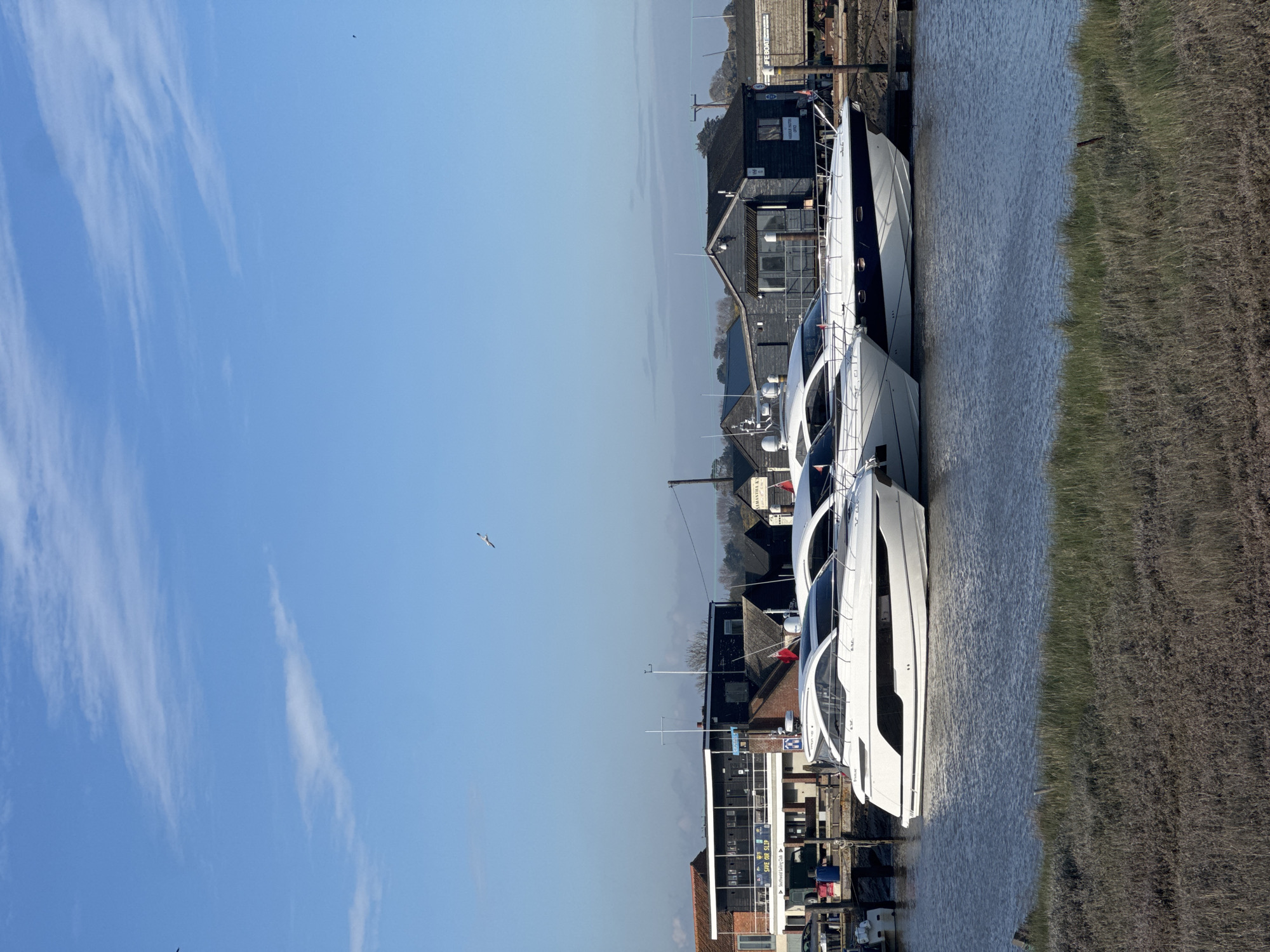 The image shows a marina in Southwold, East Suffolk, United Kingdom, on a sunny day with wispy clouds in a blue sky. Two or three luxury yachts are moored along a quay. Buildings line the waterfront, including what appears to be a historic black wooden structure, and others with red brick. The water is calm, and grass grows along the bank across from the yachts. A seagull flies in the sky.