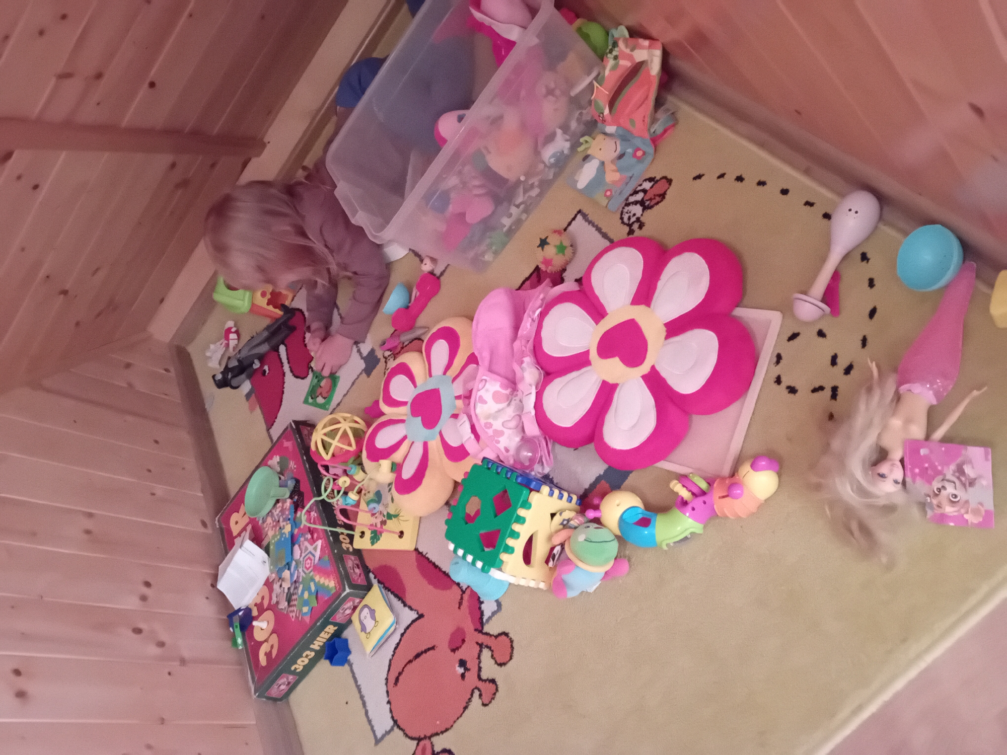 The image depicts a room, likely a child's bedroom or playroom, with a sloping wooden ceiling and wooden paneled walls. The floor is covered with a light-colored rug featuring a large pink and orange cartoon animal print. Scattered across the rug are numerous children's toys.
In the center-right of the image, a young child with blonde hair is lying on their stomach, facing away from the camera, and playing with toys. The child is wearing a long-sleeved purple shirt and dark pants. In front of the child is a clear plastic storage bin filled with more toys.
Visible toys include:
* A board game box labeled "303 HIER" on the left side.
* Various colorful stacking toys and shape sorters.
* Soft, plush flower-shaped pillows in pink and yellow.
* A doll resembling a mermaid lying on its back near the bottom of the image.
* A maraca-like toy.
* A small blue bowl.
* A string of colorful interlocking toys resembling a caterpillar.
* A small, yellow toy book with a bird illustration.
The overall scene suggests a child actively engaged in play in a cluttered environment. The image appears to have been taken indoors, possibly in an attic room due to the sloped ceiling. The setting does not provide any specific visual cues to pinpoint its location to Zuberec, Slovakia.