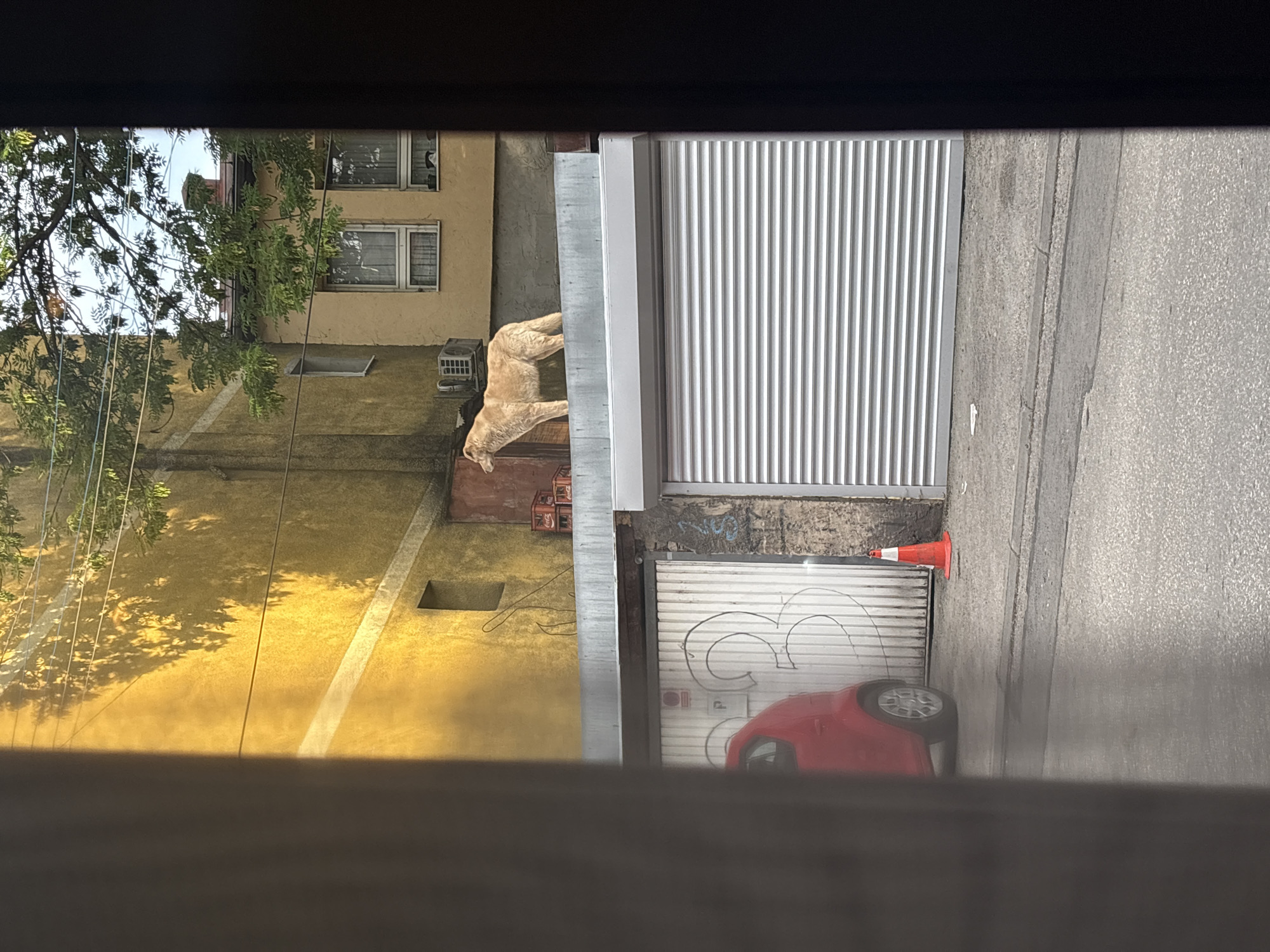 A ground-level shot, taken from an obscured viewpoint, focuses on an urban scene in Sarajevo, Bosnia and Herzegovina. The view encompasses a yellow building, a closed white corrugated steel door, a red car parked in front of a garage, and a statue of a dog. An orange traffic cone is visible on the street. Buildings with windows are visible in the background with trees and sky.