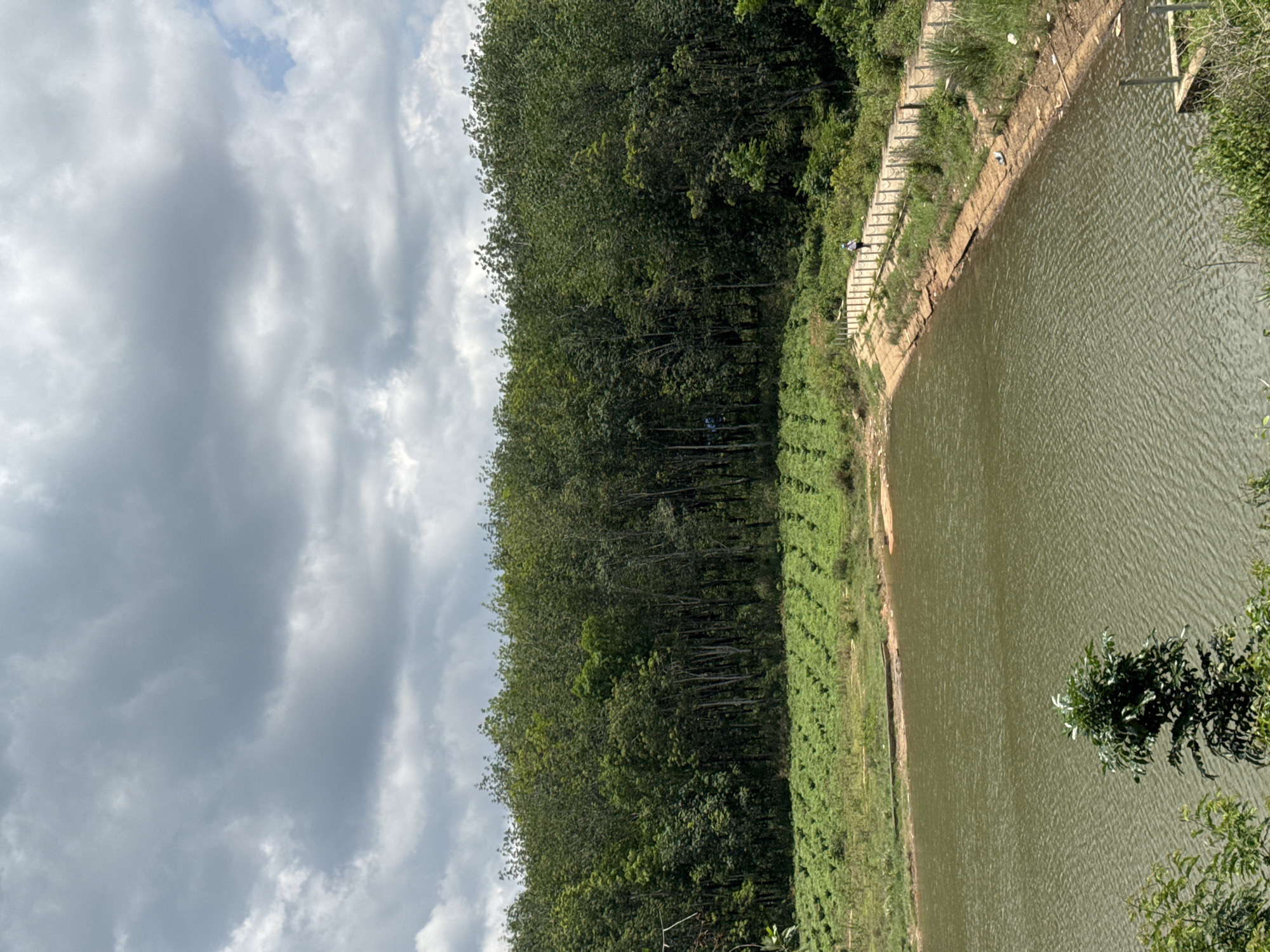 The image shows a lake or reservoir bordered by a dense forest and a grassy slope in Bờ Y, Vietnam. The sky is overcast with heavy, grey clouds. The water appears still, reflecting the light, while the forest is thick with green foliage. Along the edge of the water, there is a retaining wall or embankment with steps leading down to the water. The grassy slope adjacent to the forest looks cultivated or manicured. There are no visible people or animals in the immediate view. The overall setting is a natural environment, possibly a park or conservation area, in a rural or suburban part of Bờ Y.