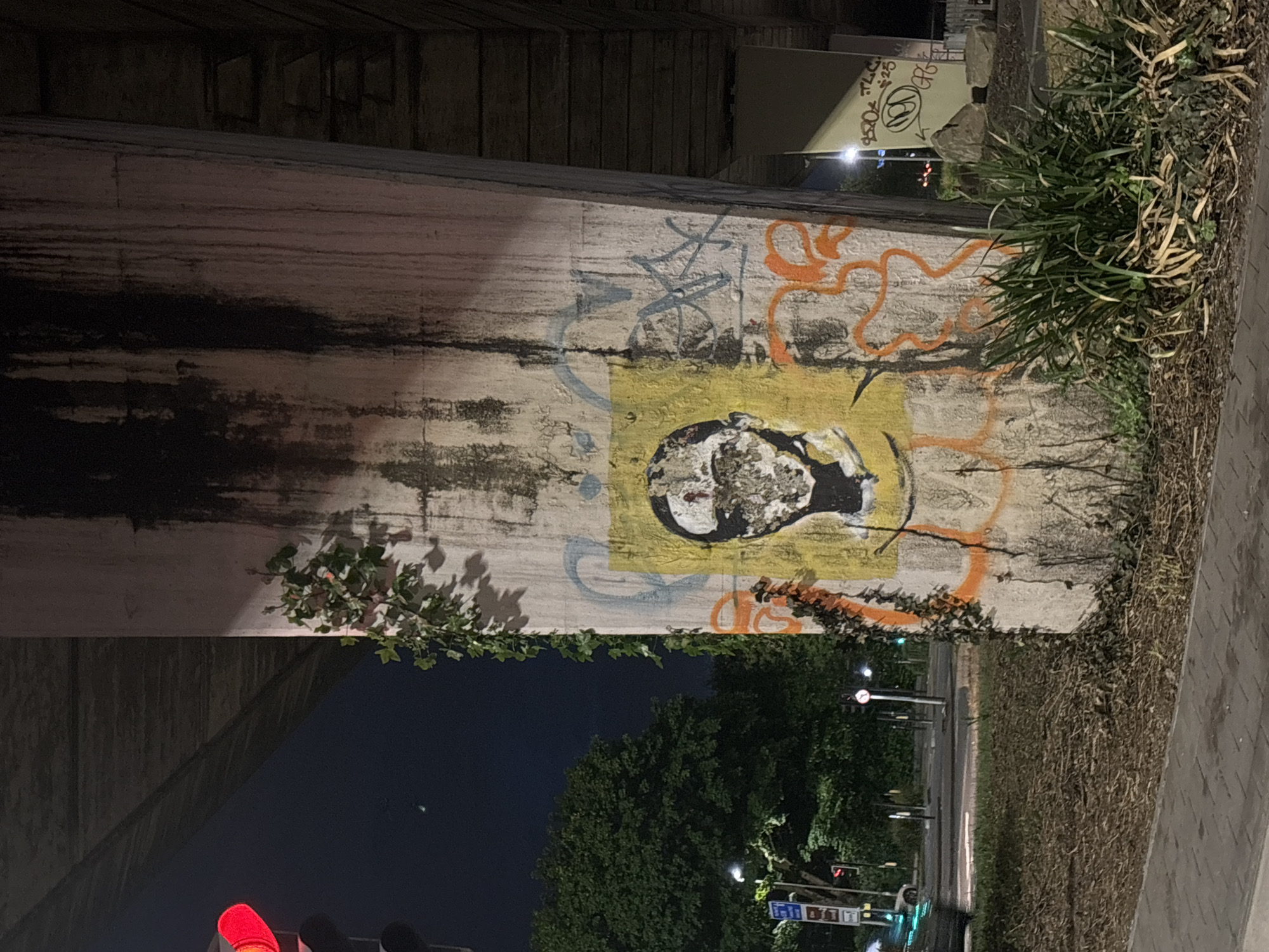 Here is a description of the image:
The photograph shows a concrete pillar supporting an overpass, likely in an urban environment. The pillar features extensive graffiti, including an abstract portrait painted within a yellow square and orange looping lines. The base of the pillar is flanked by vegetation: grass and weeds on one side and climbing ivy on the other. Beyond the pillar, one can see a street at night, with streetlights, traffic lights, and trees lining the roadside. The sky is dark, indicating it is nighttime. Based on some of the graffiti in the image and its style, it may depict a location in the city of Manchester, United Kingdom, although the image does not provide enough clear information to confirm this with absolute certainty.