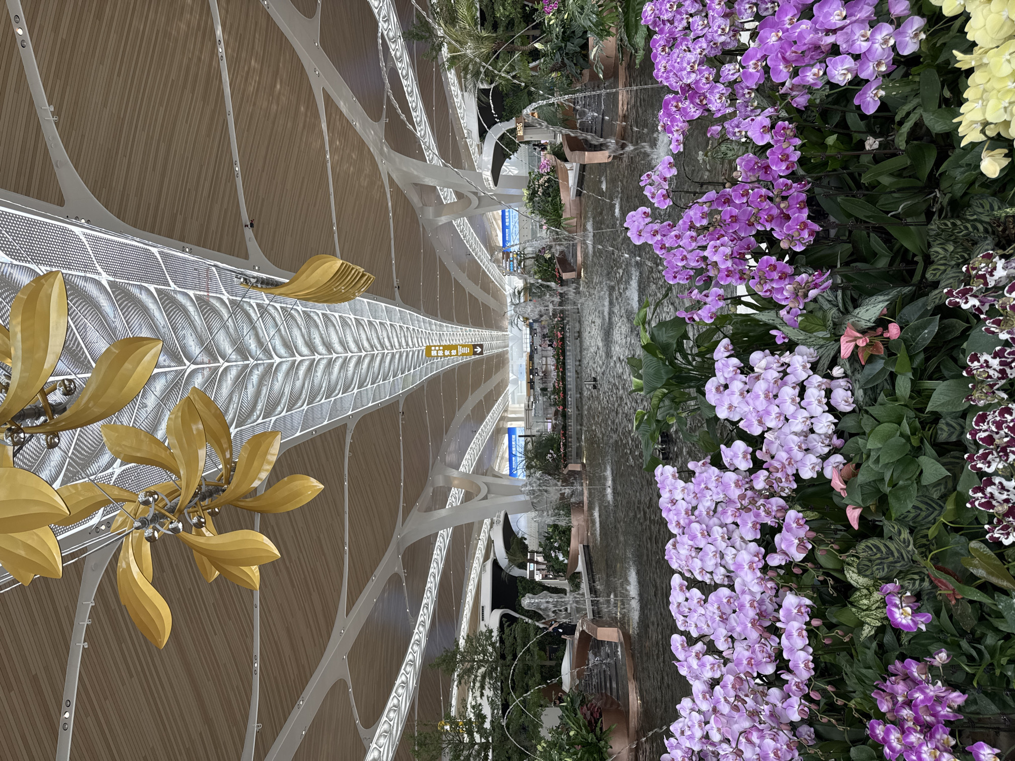The image shows the interior of what appears to be an airport terminal, featuring modern architectural design. In the foreground, there is an abundance of purple and other colored orchids arranged vertically. To the left, a high ceiling with curved white supports and wooden paneling is visible, along with a decorative gold leaf-shaped lighting fixture. Water features are integrated into the scene with fountain jets visible amidst the vegetation. The overall perspective is looking along the length of the terminal towards distant points, suggesting a large and open space. Considering the location cues from the prompt, the scene is likely within the Baiyun District in China.