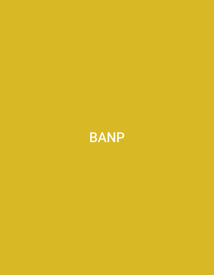 The image displays a uniform mustard yellow background. Centered horizontally and vertically on this background is the capitalized white text "BANP" rendered in a sans-serif typeface. No other elements, figures, objects, or environmental details are present within the frame. The scene does not depict any identifiable location, including Casablanca, Morocco, nor does it contain any people, subjects, actions, or interactions.
