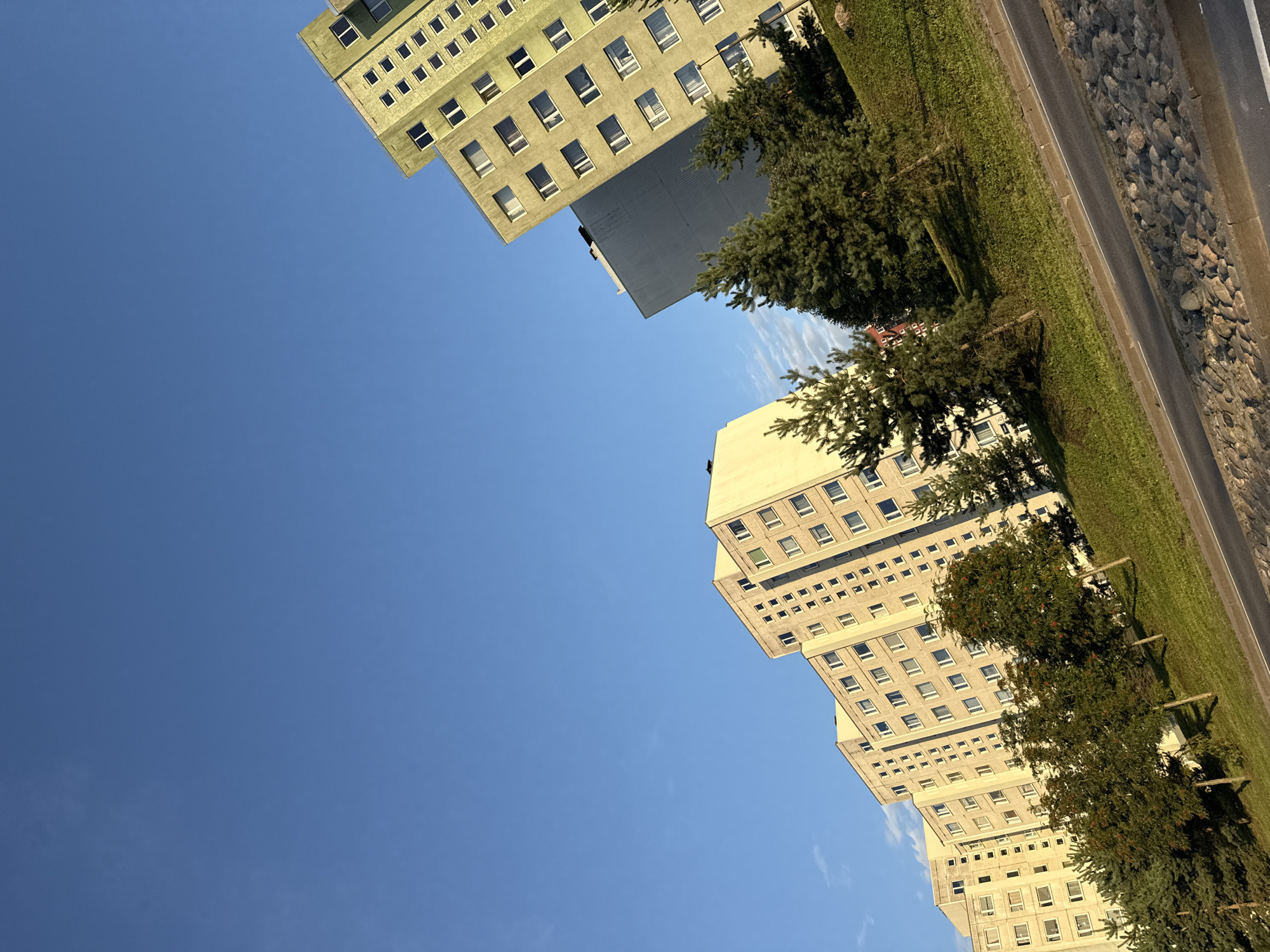 The image captures a row of Soviet-era apartment buildings, characteristic of Tallinn, Estonia, under a clear blue sky. The buildings are constructed from concrete and have numerous windows. Some buildings are painted in muted tones of yellow and gray, while one prominently displays a pale green facade. Pine trees and other greenery line the slope leading up to the buildings, interspersed with small trees bearing red berries. A paved road runs along the foreground, bordered by a retaining wall made of large stones. The scene appears to be a residential area, possibly in the Lasnamäe district of Tallinn, known for its concentration of such buildings. No people are visible in the frame.