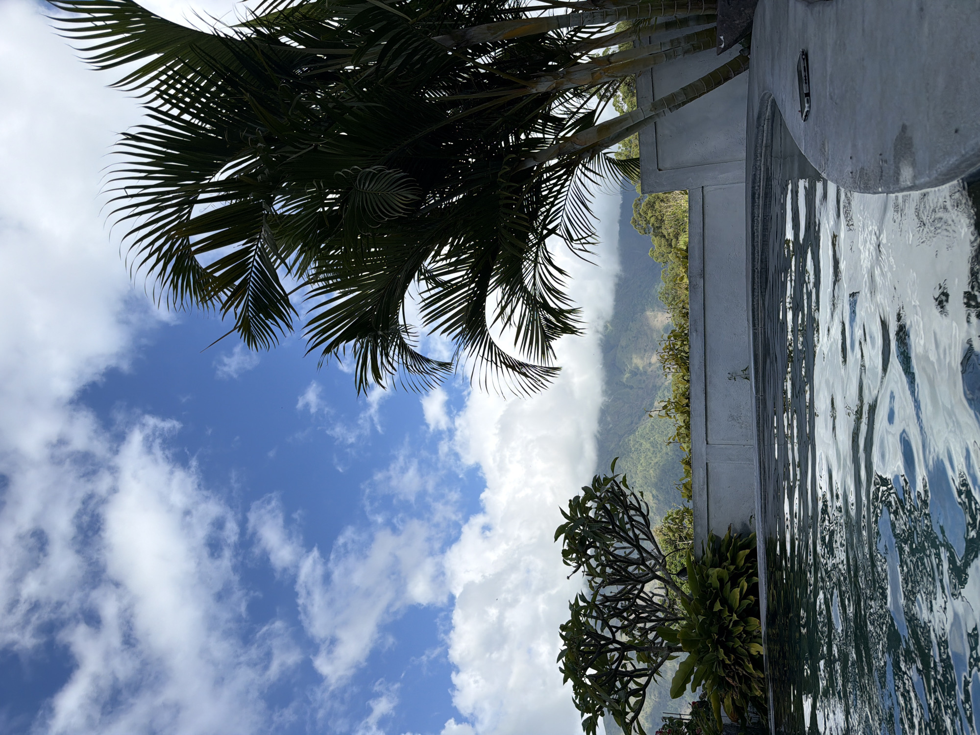 The image depicts a serene outdoor scene, likely in Kintamani, Indonesia, overlooking a lush, mountainous landscape. In the foreground, the rippling surface of a swimming pool dominates the lower half of the frame, reflecting the sky and surrounding greenery. The pool has a curved, concrete edge. To the right of the pool, a smartphone is placed on the concrete ledge.
Beyond the pool, a low, white concrete wall separates the immediate area from the background. Behind the wall, a variety of tropical plants and trees are visible, including a frangipani tree with its distinctive branches and large green leaves, and tall palm trees with their fronds reaching towards the sky. The palm trees are dark green and appear to be quite mature.
The background features a dramatic mountain range, shrouded in mist and clouds, adding a sense of depth and tranquility to the scene. The sky above is a vibrant blue, dotted with fluffy white clouds. The overall impression is one of a peaceful, tropical retreat with a stunning natural vista.