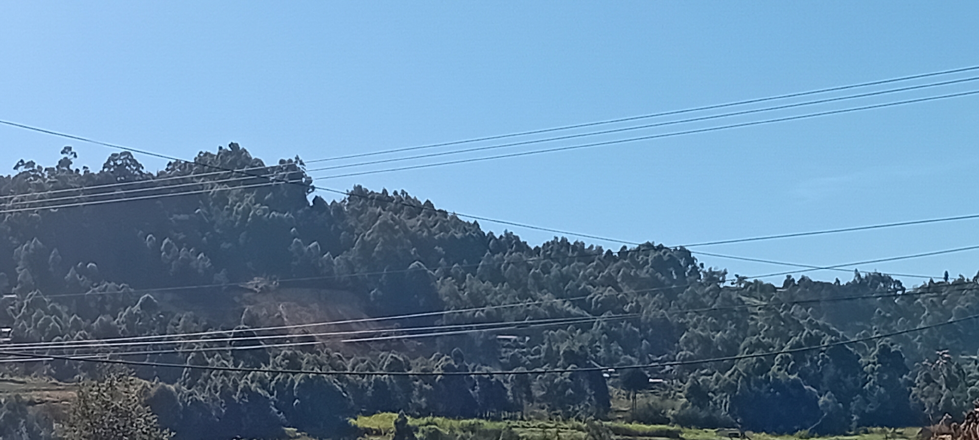 A wide shot captures a vast, forested hillside under a clear blue sky. Several parallel power lines stretch horizontally across the frame, obscuring parts of the landscape. The hillside is densely covered with trees, their dark green foliage creating a textured, undulating surface that recedes into the distance. On the left side of the image, a section of the hillside appears to be cleared, revealing a lighter, earthy slope. A few sparse trees and some signs of human settlement, possibly small buildings or structures, are visible nestled among the trees on the lower slopes. The overall impression is of a natural landscape in a rural or semi-rural setting, with the power lines indicating proximity to human infrastructure.