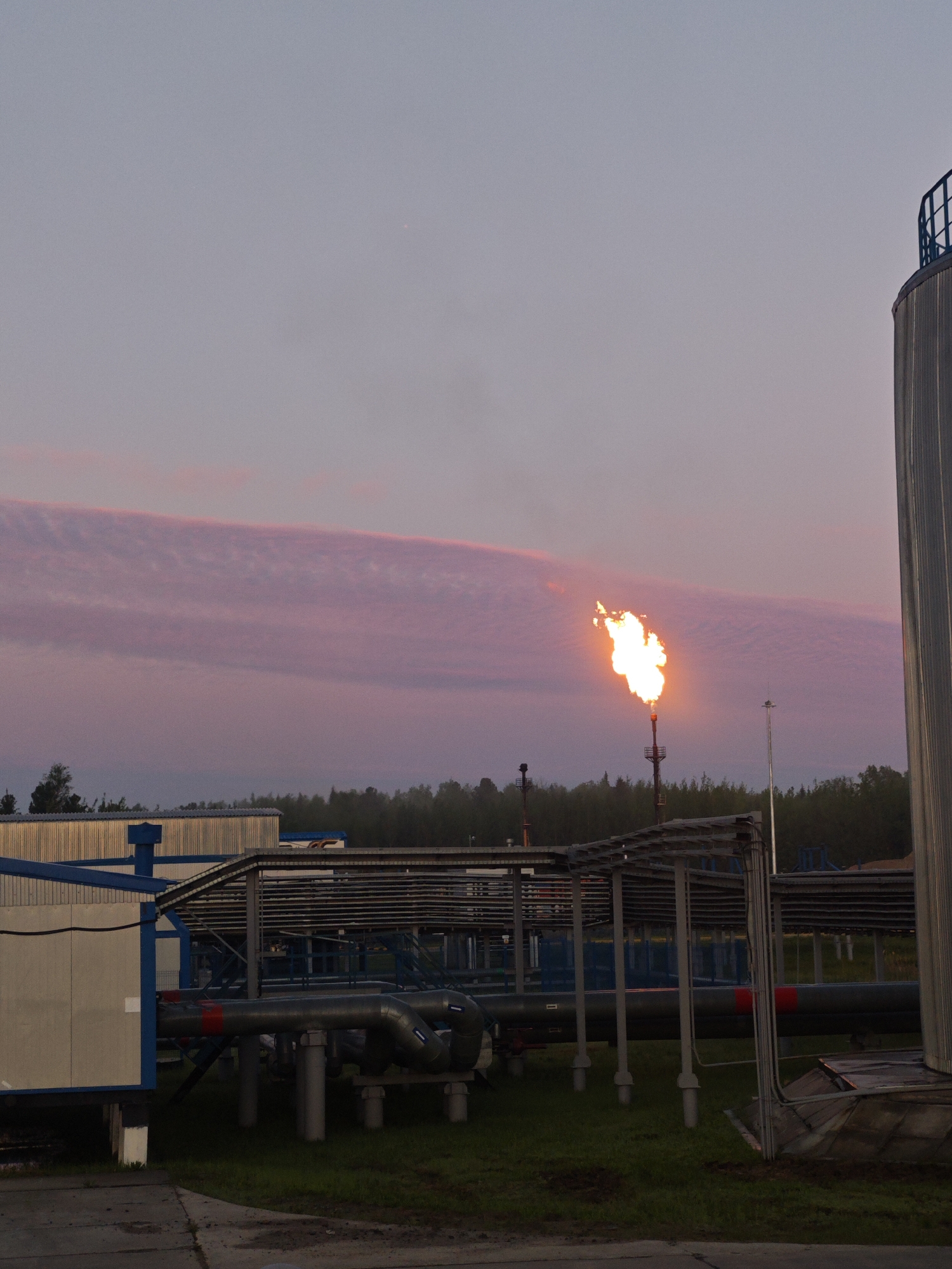 The image depicts an industrial scene at either dusk or dawn, featuring a prominent gas flare against a twilight sky. A large, bright flame, colored intensely orange and yellow, erupts from the top of a tall, dark flare stack located in the mid-ground. The sky above is cast in soft hues of lavender, grey, and pink, with a distinctive, elongated horizontal cloud band stretching across the frame, also reflecting the pinkish light.
The foreground and mid-ground are populated by various elements of an industrial facility. On the left, part of a building or large container with blue and off-white panels is visible. A complex network of pipes and metal structures, including what appear to be pipe racks or cable trays, extends across the scene. Several large-diameter pipes, dark grey in color with red and white markings, run horizontally near the ground, supported by concrete pedestals. On the far right, a segment of a large, cylindrical storage tank with a blue safety railing on its top edge is partially visible. The ground cover consists of grass in some areas and concrete or paved surfaces in others. In the distance, a dark line of trees indicates a forest bordering the industrial site. No individuals are present in the image. The scene is consistent with an operational oil, gas, or chemical plant. The only visible markings are red bands on some pipes and faint, illegible text on a white sticker on a pipe.