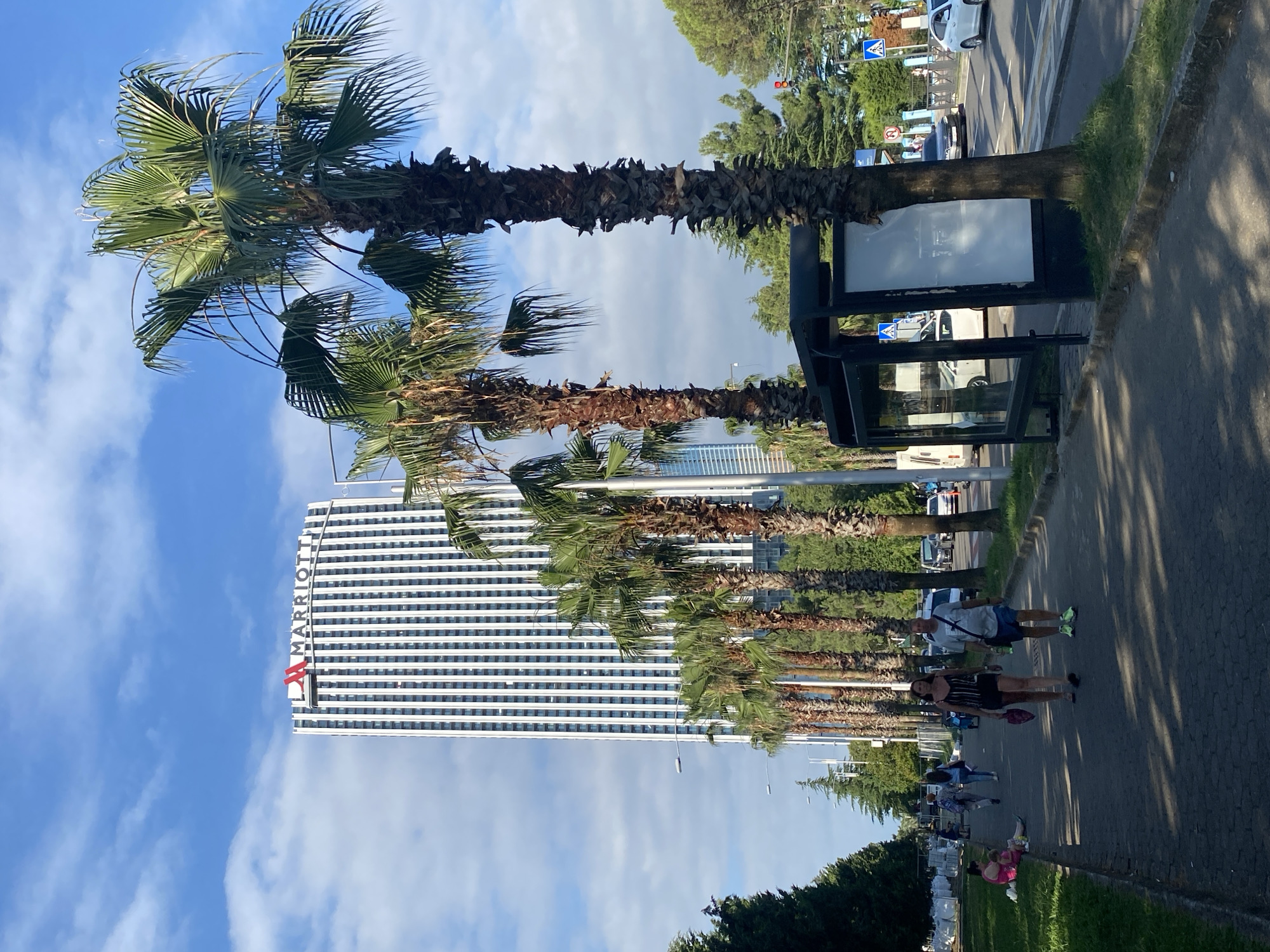 The image depicts a street scene in Batumi, Georgia, featuring a modern high-rise building with the Marriott logo prominently displayed at its top. A row of tall palm trees lines the sidewalk, casting shadows on the paved walkway. Several people are visible walking along the sidewalk, including a couple in the foreground. A bus stop shelter with a blank advertisement panel is situated beside the sidewalk. The background shows a road with cars and trees, under a blue sky with scattered clouds. The overall environment suggests a sunny day in an urban setting with a tropical or subtropical climate.
