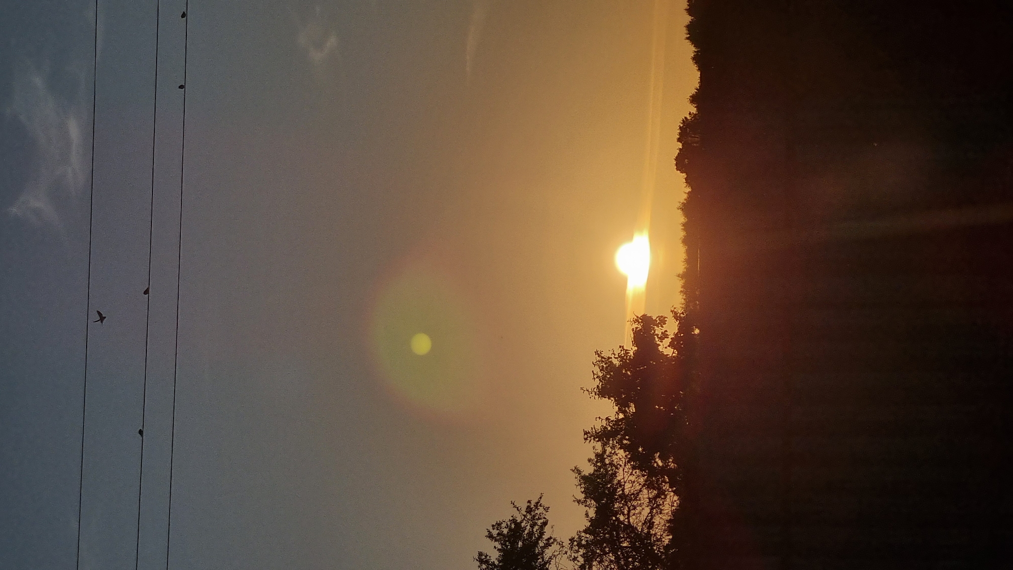 The image depicts a sunset over a rural landscape in Vysokoe, Russia. The sky is a gradient of muted blues and oranges, with the sun appearing as a bright, fuzzy orb just above the horizon. A faint halo of light surrounds the sun, and a smaller, dimmer orb is visible higher in the sky, possibly a reflection or another atmospheric phenomenon. Silhouetted against the sky are several birds perched on power lines that stretch across the frame. The foreground is dominated by the dark silhouettes of trees and vegetation, obscuring any details of the ground or structures. The overall impression is one of a tranquil, late evening scene.