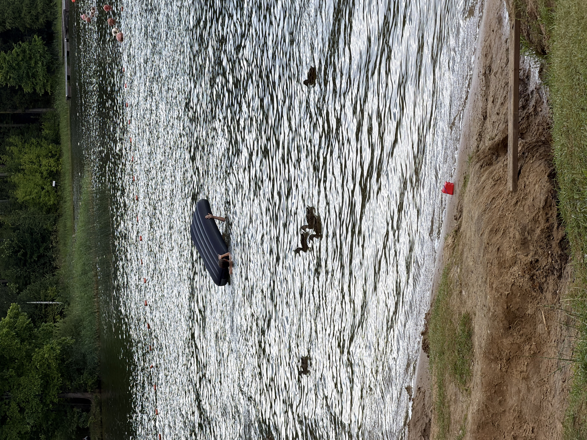 In Sokolovo, Russia, a body of water, likely a lake or pond, is depicted. The water's surface is rippled, reflecting sunlight. On the water, a black inflatable mattress is partially submerged, with a person's arms visible above the water, holding onto it. Several ducks are swimming in the water, some clustered together and others individually. The foreground features a sandy beach with patches of green grass. A small red plastic toy is visible on the sand near the water's edge. In the background, a line of buoys marks an area of the water, and further back, trees form a dense border along the shoreline, with a wooden dock extending into the water on the right side of the image.