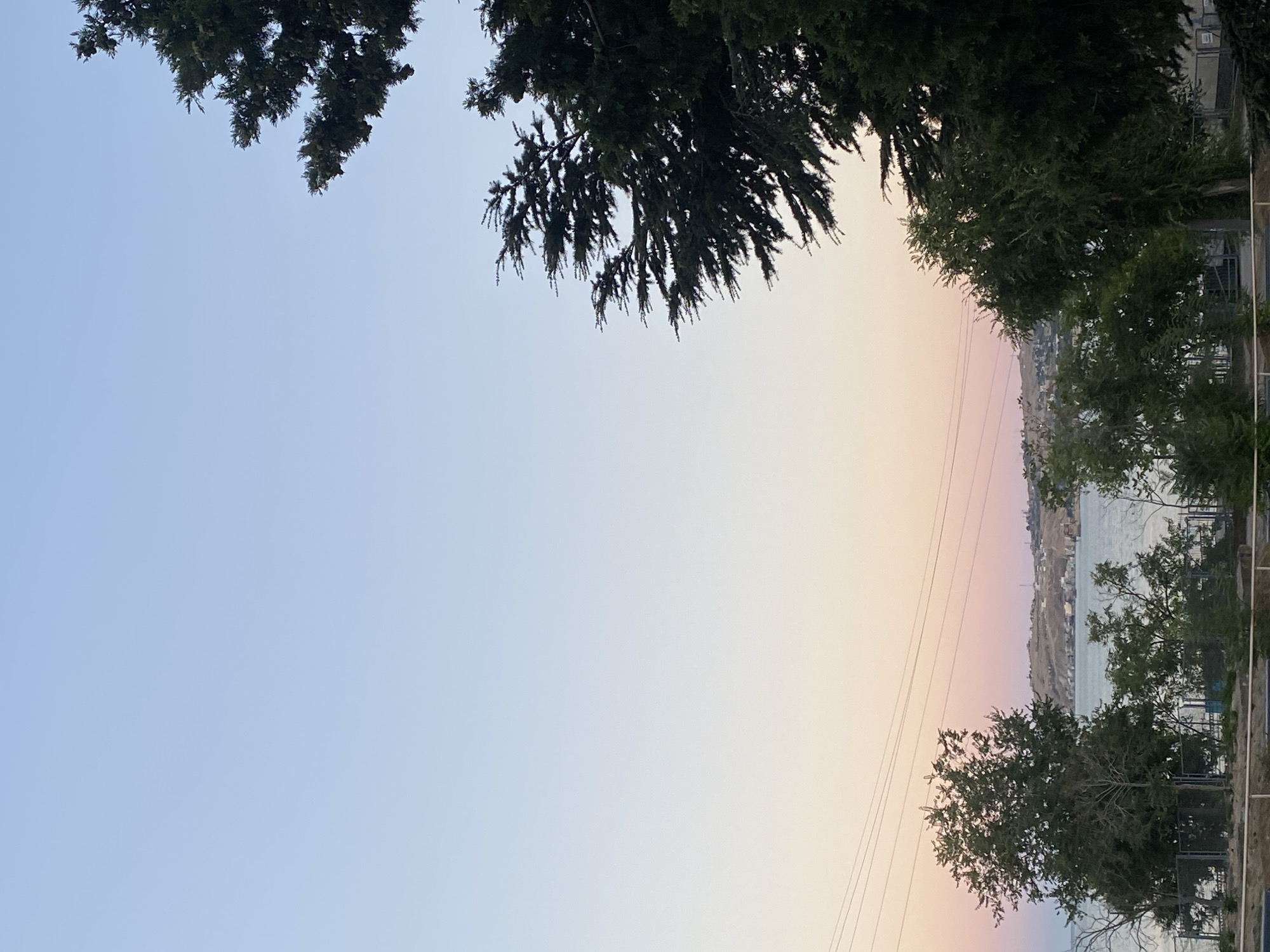 A vertical, eye-level, medium shot captures a twilight sky over the city of Feodosia, Ukraine. The sky transitions from a pale blue at the top to a soft pink and peach hue near the horizon. Silhouetted against the sky are the dark green branches of cypress trees on the right and middle right, along with several deciduous trees on the left. In the background, across a calm body of water, the city of Feodosia is visible on a hilly coastline, with buildings dotting the landscape. Power lines are strung across the middle left of the image. The foreground shows a glimpse of a fence and some vegetation.