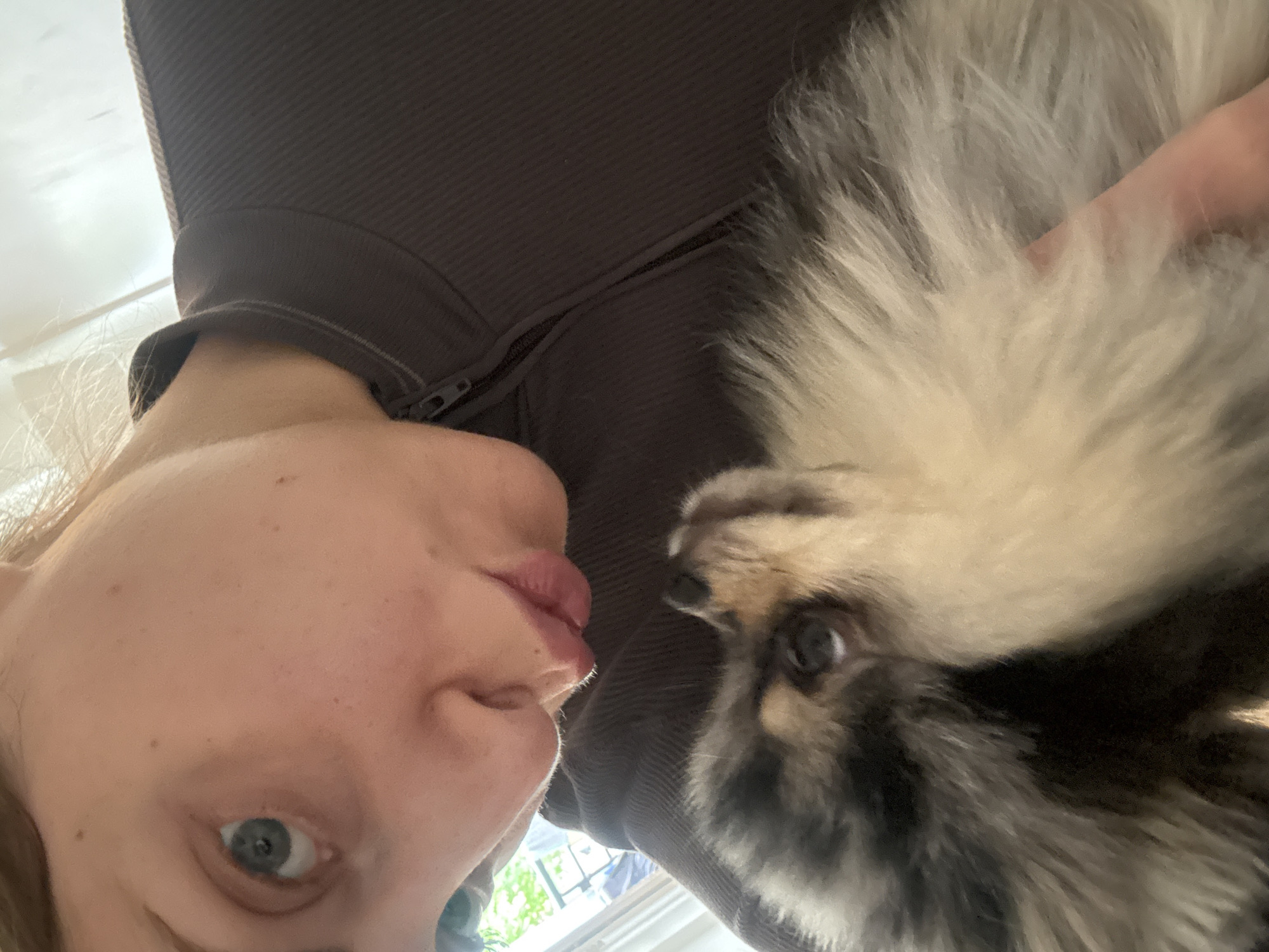 The image presents a close-up, upward-looking view of an affectionate interaction between a person and a small dog. The perspective is intimate, capturing the subjects from below eye level, emphasizing their closeness.
On the left, a person, likely female, with light skin, light hair, and a visible blue eye, is seen looking downwards. Their lips are slightly pursed, suggesting an impending kiss or an affectionate sound directed towards the dog. They are wearing a dark, ribbed or textured garment, possibly a zipped jacket or sweatshirt, part of which is visible across the top and center of the frame.
To the right, a small, fluffy dog with a striking coat of grey, black, and white/cream fur is featured. The dog's dark eye is visible, and its head is tilted slightly, engaging with the person. The furry texture of the dog's coat is prominent, highlighting its fluffiness.
The background is subtly blurred, indicating an indoor setting with ample natural light, likely from a window. A glimpse of green foliage outside a window can be faintly seen behind the person's head, suggesting it is daytime. The overall atmosphere conveys warmth, tenderness, and a strong bond between the pet owner and their dog. No visible text is present in the image. This moment of connection is contextualized as taking place in Paris, France.