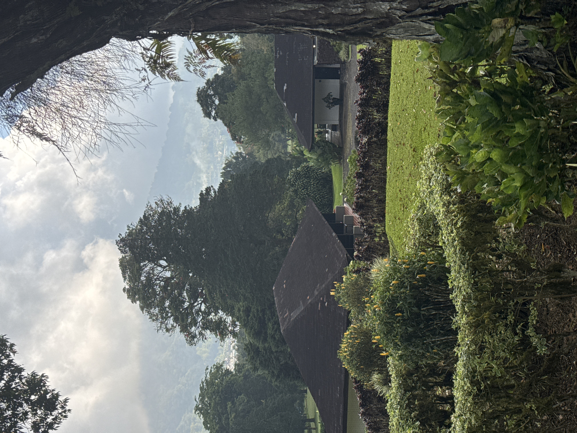 The image presents a view of a landscaped garden and building complex, possibly within a hilly or mountainous region, observed through what appears to be the frame of a tree trunk or branch. The landscape includes manicured lawns, rows of hedges, and various trees. Buildings with dark, tiled roofs are visible amongst the greenery. The background fades into a misty or cloudy sky. The foreground shows a tree trunk or branch on the left, serving as a natural frame to the scene. The location is unknown.