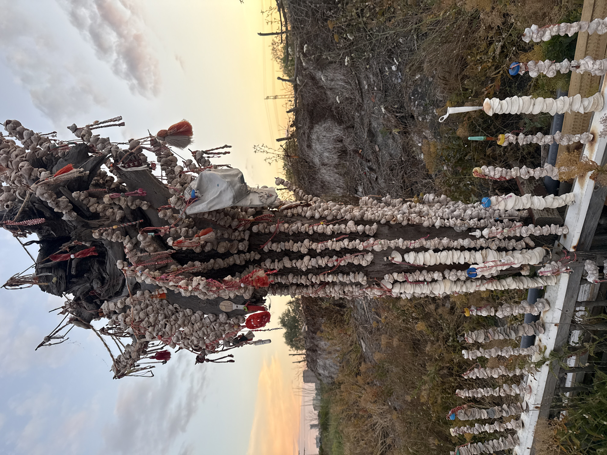This is a medium shot photograph of a tall, thick wooden post adorned with numerous dried garlic bulbs and strings of white seashells, situated in the Atanasovsko Lake salt pans near Burgas, Bulgaria. The garlic is primarily clustered around the upper portion of the post, interspersed with red and white tassels and other small decorative items. Below, the post is covered in vertical strings of seashells, some of which are capped with colorful beads or plastic pieces. A white railing extends horizontally in the foreground, also decorated with stacks of seashells. The background features dry vegetation, a rickety fence, and a hazy sky at dusk with soft, pastel-colored clouds. In the far distance, the silhouette of buildings and industrial structures is visible. The overall scene suggests an unusual, folk art installation within a natural, somewhat unkempt environment.
