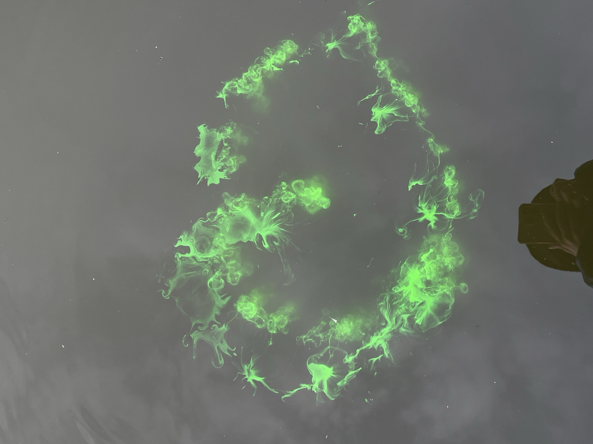 A view from above shows a cluster of bioluminescent, glowing green material floating on a body of water. The material appears to be concentrated in a roughly circular pattern, with tendrils or streamers extending outward. The water is dark and reflective, with a small object in the upper right corner, that looks like a part of a boat. Rudky, Ukraine is not discernible from the image alone. No people are visible.