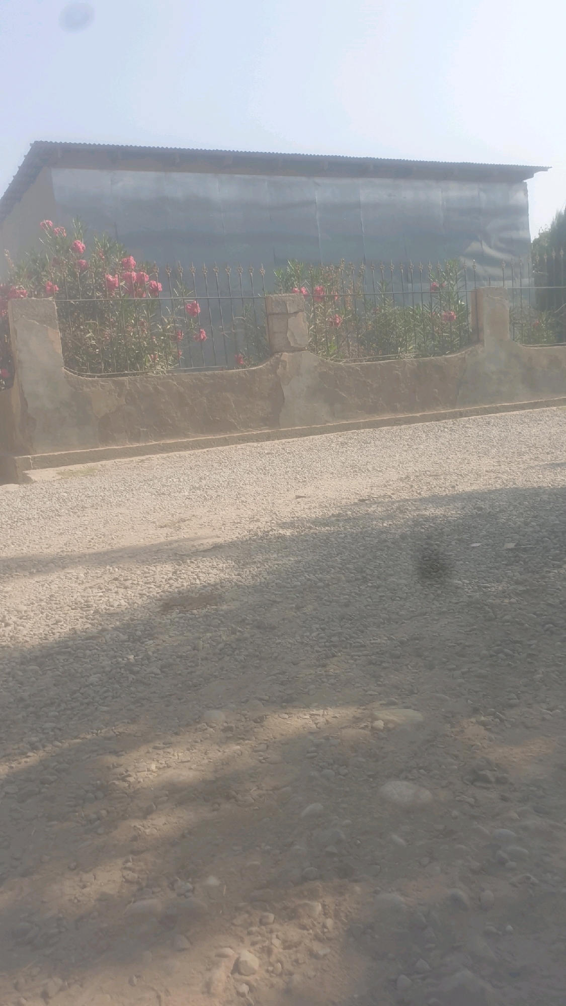 The image shows a building with a corrugated metal roof and metal siding. In front of the building, there is a low stone wall with a metal fence and some pink flowering plants. The ground in front of the wall is covered with gravel. The overall scene appears to be outdoors in a dry, dusty environment, possibly in or near the city of Пахтакор, Tajikistan, given the prompt. The sky is bright and hazy, suggesting a sunny day with possibly some atmospheric dust. There are no people or animals visible in the image.
