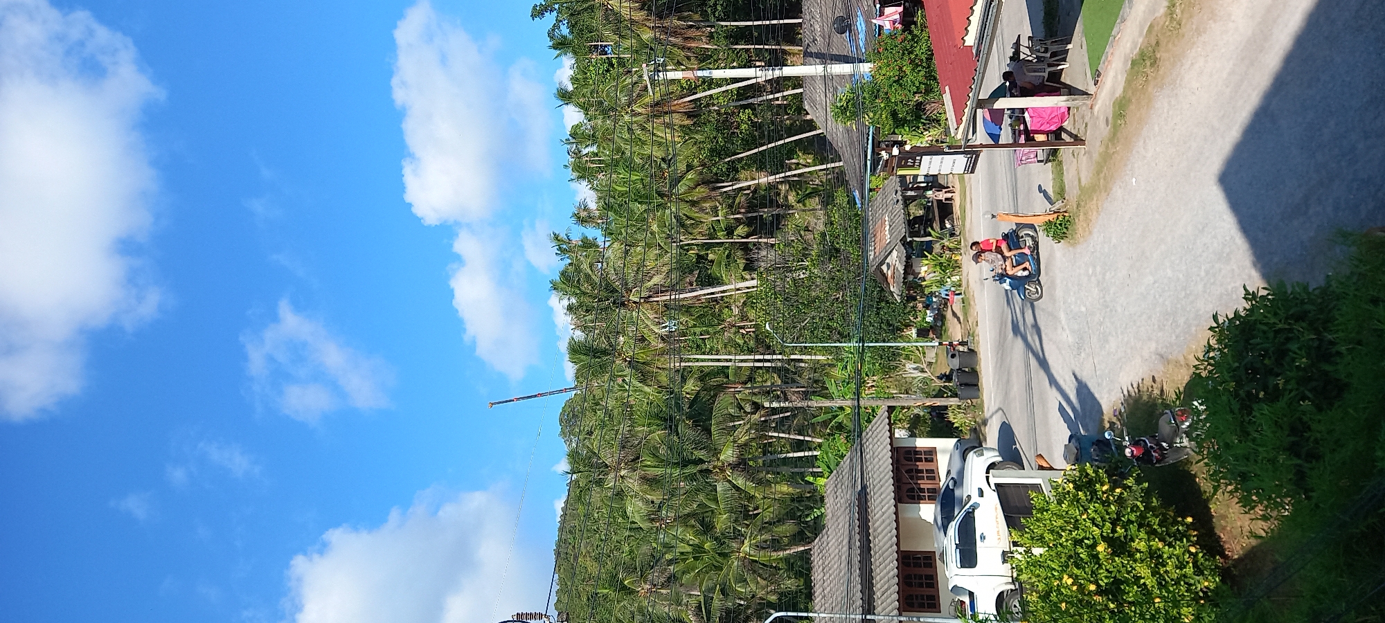 The image captures a vibrant, sunny street scene in Baan Chaloklum, Thailand, characterized by lush tropical vegetation and local activity. The sky overhead is a brilliant blue, dotted with scattered white, fluffy clouds, indicating clear weather and bright daylight. Strong shadows cast by buildings and trees suggest it is likely midday or early afternoon.
A paved road stretches across the middle ground, with a slight upward slope towards the left. On the road, two individuals are seen riding a blue scooter, heading away from the viewer. Another red scooter is parked further down the road on the right.
To the left of the road, a dense landscape of numerous tall palm trees and other tropical foliage covers a hillside, giving the impression of a jungle meeting the village. Utility poles and power lines are visible, crisscrossing the frame against the green backdrop. In the distance, a tall, thin structure, possibly a crane or antenna, rises above the tree line.
On the right side of the road, several buildings line the street. A prominent structure with a reddish-orange tiled roof features an outdoor seating area with tables and chairs, where several people are gathered, possibly dining or socializing. Colorful umbrellas (pink/red and blue/white) provide shade. A sign is visible near this building, though its text is illegible. Further foreground on the right shows more green bushes and foliage. In the lower right foreground, a white pickup truck with an open passenger door is parked beside another building with a dark grey tiled roof.
The scene captures everyday life in a scenic, tropical Thai village.