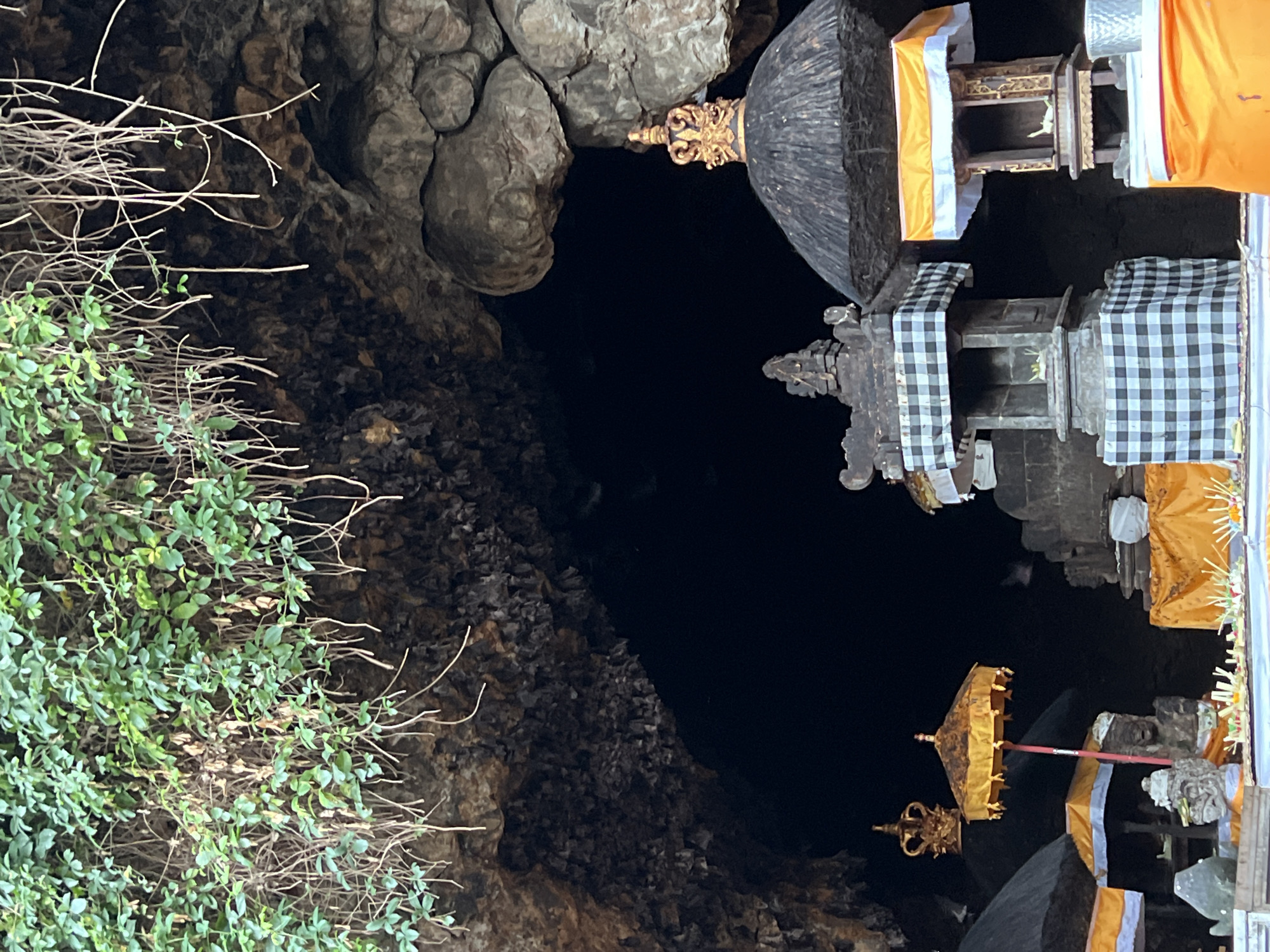 The image depicts the entrance to Goa Lawah Temple, a significant Hindu temple located in the village of Dawan, Klungkung Regency, Bali, Indonesia. The temple entrance is a dark cave opening, partially obscured by lush green foliage hanging from the rocky overhang above. In the foreground, several ornate Balinese structures are visible, adorned with black and white checkered cloth and bright orange fabric. These structures appear to be shrines or altars, characteristic of Balinese Hindu temples. One structure features a golden crown, while another has a golden umbrella with decorative tassels. The ground in front of the structures is covered with offerings, possibly consisting of flowers and incense. The overall scene suggests a place of worship, likely during a religious ceremony or a typical day at the temple. The lighting is dim, creating a mysterious and sacred atmosphere within the cave entrance and surrounding structures.