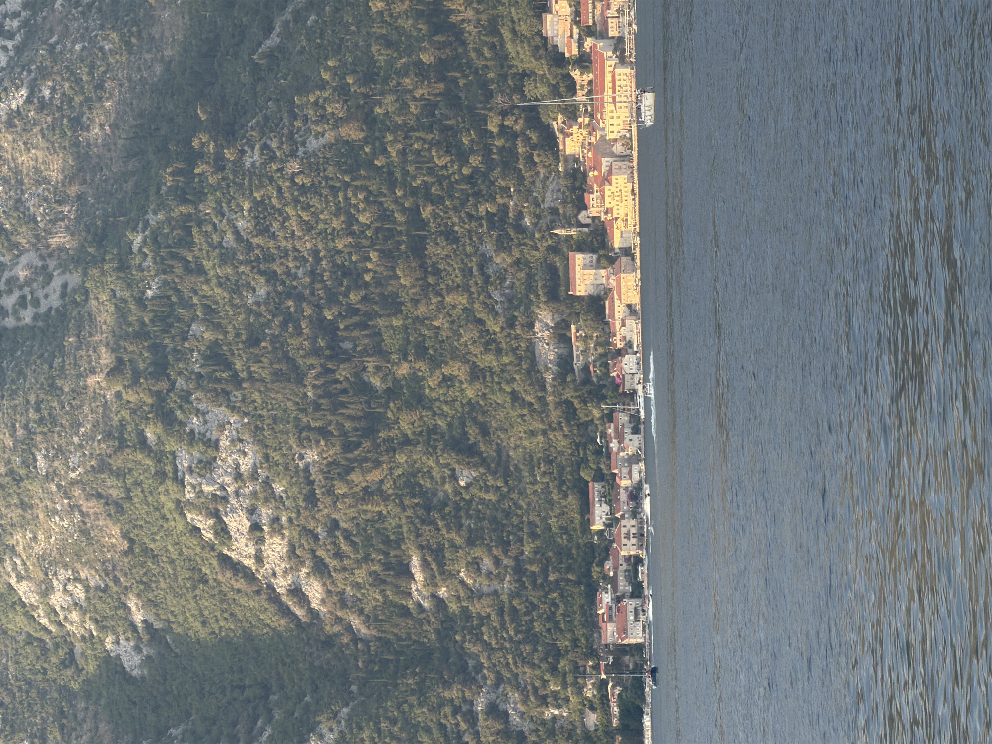 The image shows a panoramic view of the town of Lepetane, Montenegro, situated along the coast. The foreground is dominated by a body of water with gentle ripples reflecting the muted sunlight. In the middle ground, a picturesque line of buildings with red-tiled roofs stretches along the waterfront, interspersed with trees. A few boats, including sailboats and smaller vessels, are visible on the water near the town. The background features a steep, verdant mountain slope covered in dense trees and rocky outcrops, with sunlight illuminating parts of the terrain. The overall scene conveys a tranquil coastal setting with a backdrop of natural beauty.