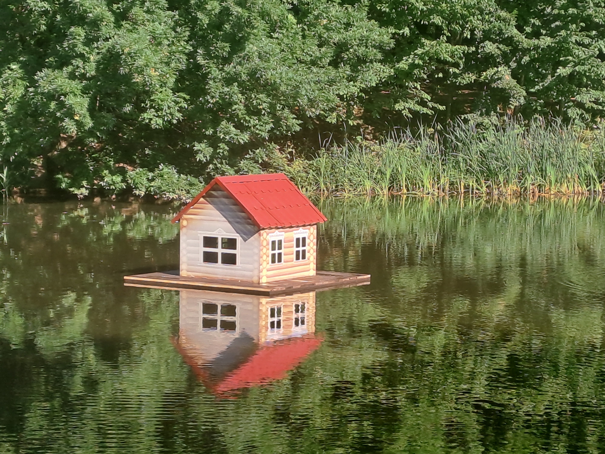 A miniature wooden house with a red roof sits on a floating platform in the middle of a calm body of water. The house has two windows on each visible side, each with a white frame and divided into four panes. The reflection of the house, complete with its red roof, is visible on the water's surface. The background is dominated by lush green trees and reeds lining the edge of the water. The water itself reflects the surrounding greenery and the sky, creating a rippling, textured surface. There are no people or animals visible in the image. The scene appears to be a serene and natural outdoor setting, possibly a park or a botanical garden. This scene is not located in Chișinău, Moldova, as no contextual information indicates this location.