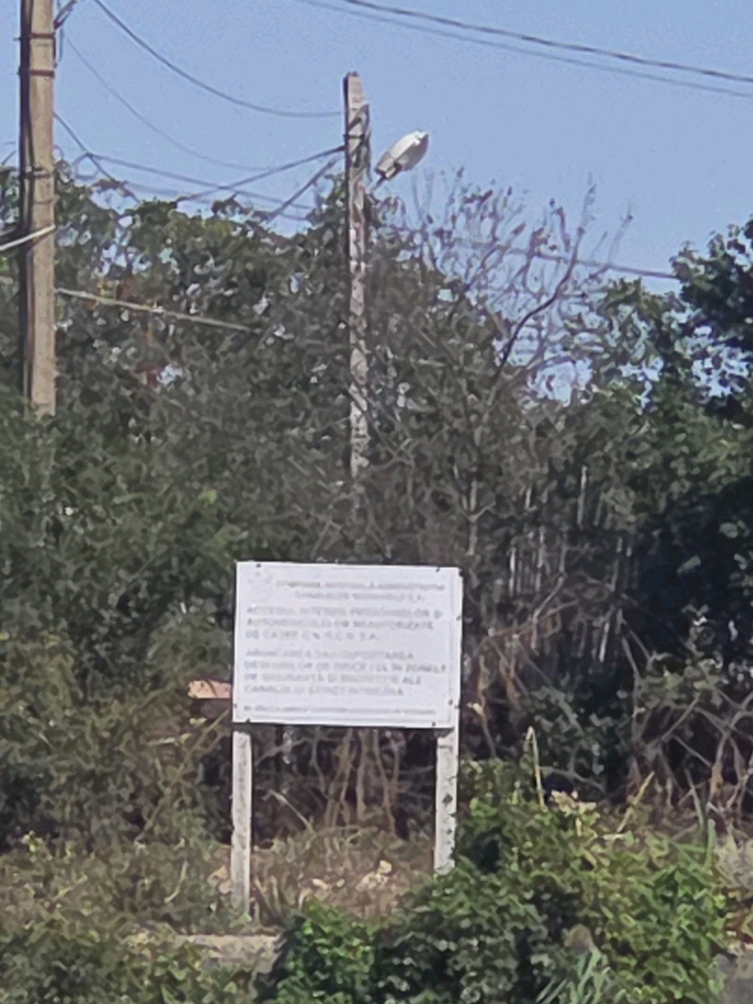 The image depicts a signpost in an outdoor, overgrown environment, likely a rural or semi-urban area. The sign itself is white and rectangular, mounted on a slender pole. It appears to be informational or cautionary, with text visible but not clearly legible due to the image resolution. The background consists of dense foliage, including trees and bushes, with a utility pole and overhead wires also present. The sky is a pale blue, suggesting daytime. The scene is consistent with a location on the outskirts of Medgidia, Romania, where such signage is common along roadsides or in areas undergoing development or agricultural use. No people or specific actions are depicted; the image focuses on the static elements of the environment.