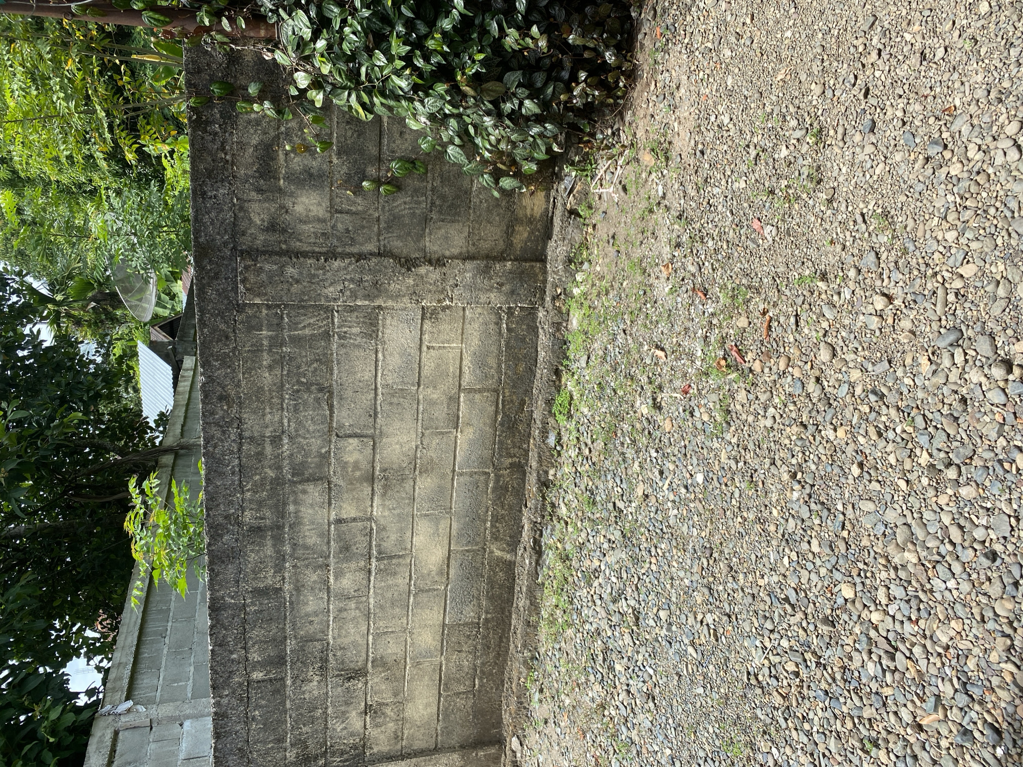 A wide shot shows a rough concrete wall with horizontal brick patterns, extending across the frame. The wall is weathered and shows signs of age, with darker patches and a rough texture. To the right of the wall, a dense cluster of green leafy plants grows upwards, partially obscuring the wall. In front of the wall, a ground surface is covered with a thick layer of small, multi-colored stones and pebbles, interspersed with sparse patches of dry grass and some scattered red and orange leaf fragments. The background behind the wall is filled with lush green foliage and trees. In the upper background, a satellite dish is visible, along with parts of a metal roof. The lighting suggests it is daytime, with shadows cast by the foliage.