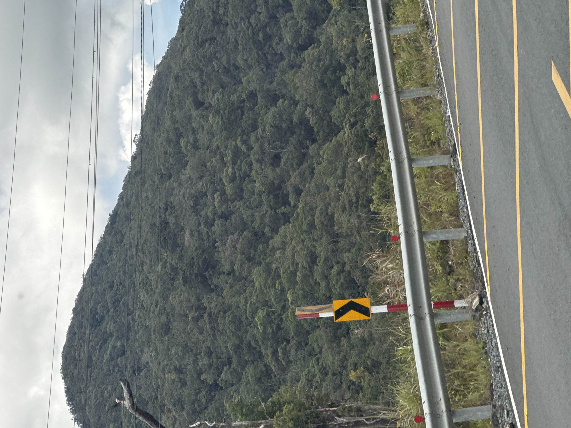 The image shows a steep, densely forested mountainside in the city of Lac Duong, Vietnam. A paved road with yellow lane markings runs diagonally across the foreground. A metal guardrail separates the road from the vegetated shoulder, where a road sign with a black chevron on a yellow background is visible. Power lines stretch across the upper portion of the frame, obscuring a cloudy sky. The overall scene depicts a rural, mountainous landscape with infrastructure for transportation.