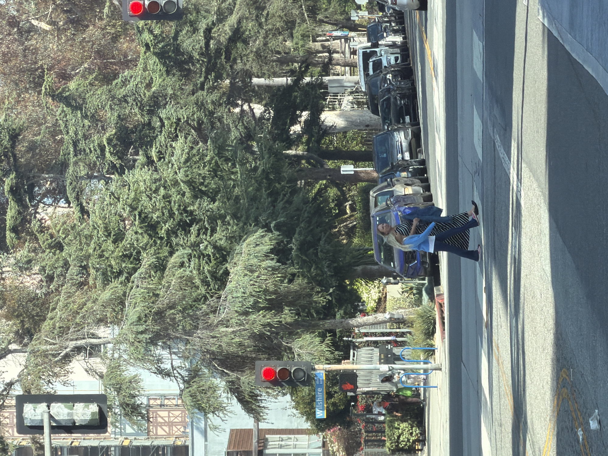At a crosswalk on Wilshire Boulevard in Santa Monica, California, a woman with blonde hair wearing a blue jacket over a striped dress and dark pants walks from left to right. She is in the middle of the street, crossing from the left side of the image to the right. Behind her, a blue SUV is stopped at the intersection. A line of cars is parked or stopped along the right side of the street. Trees with dense green foliage line the sidewalk. Traffic signals are visible; one signal on the left shows a red light, and another signal on the right also shows a red light. A street sign indicating "Wilshire Blvd" and "600" is mounted on a pole. In the background, buildings and other trees are visible.