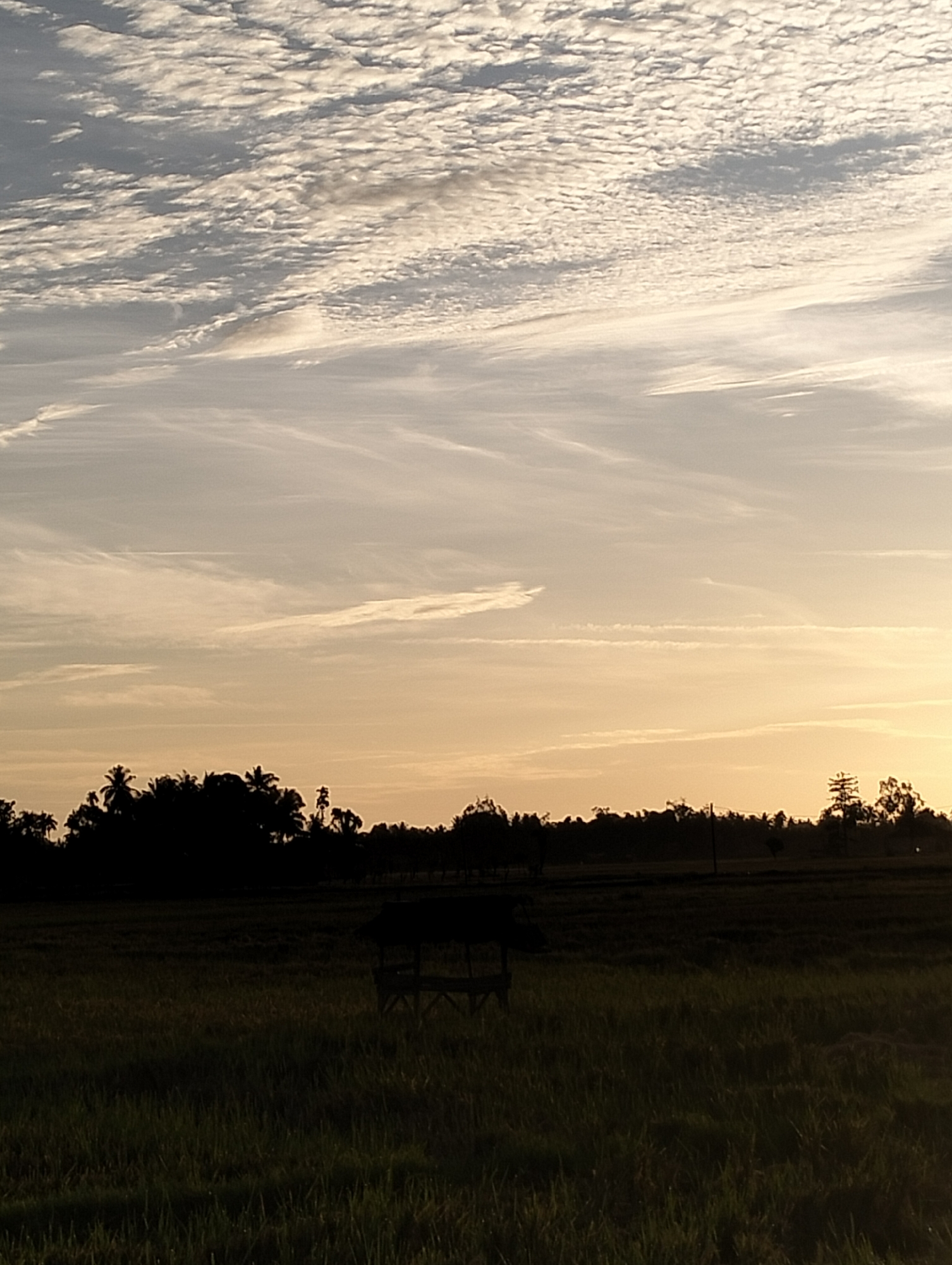 The image depicts a landscape near Kuta Pungwa, Indonesia, at dusk or dawn, as indicated by the warm yellow-orange tint in the sky. The sky is dominated by layered cloud formations, with altocumulus clouds at the top and wispy cirrus clouds below. Silhouetted against the horizon is a line of trees, including palm trees, suggesting a tropical environment. In the foreground is a field of tall grass, partially illuminated. In the midground, a simple wooden structure or shelter is visible. There are no people visible in the image. The scene conveys a sense of tranquility and rural setting.