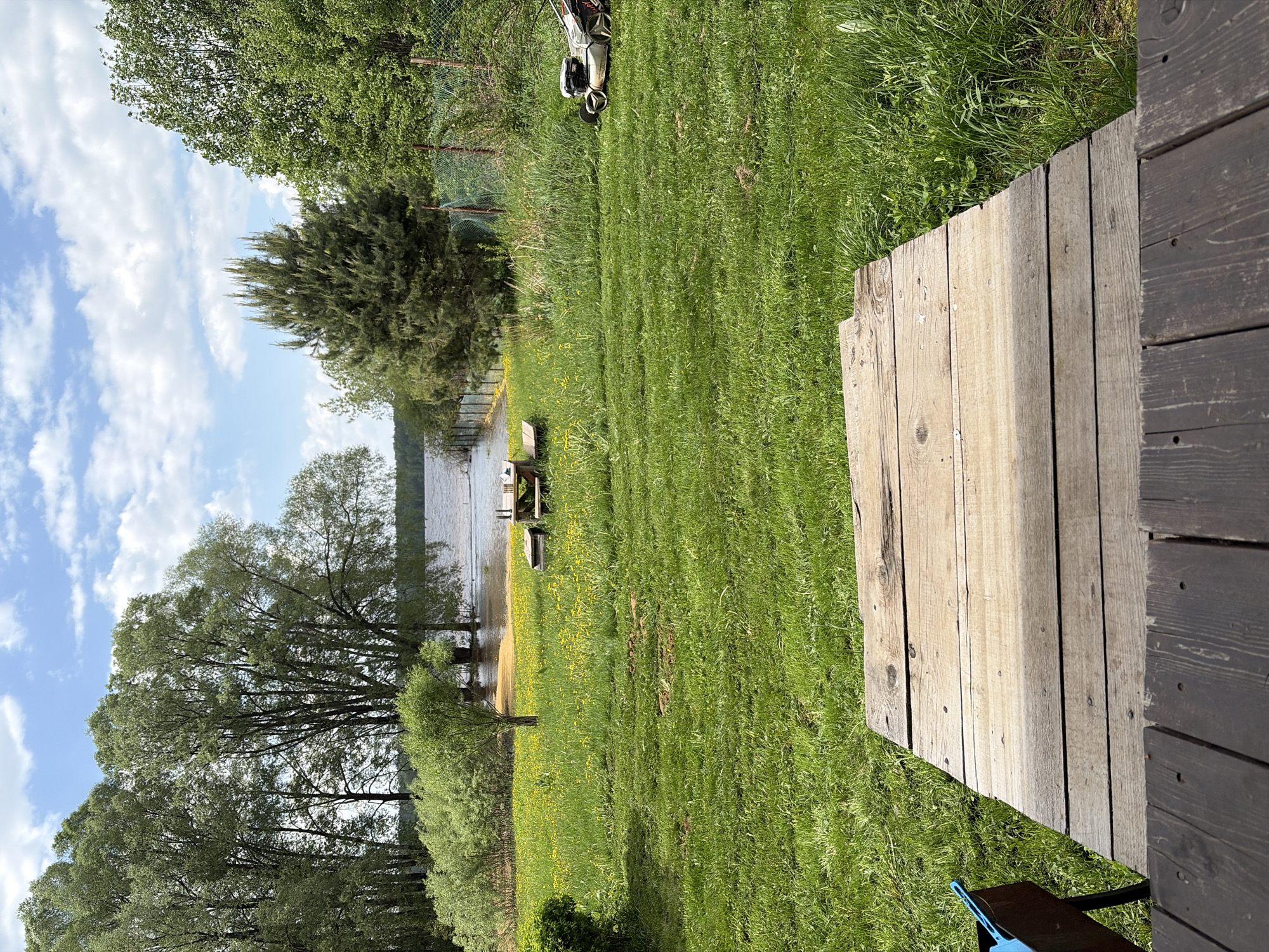 The image presents a landscape view likely taken in the vicinity of Zaozer'e (Ust'-Kachkinskoe S/P), Russia, based on the presence of features typical of the region.
The foreground shows a wooden deck or platform, constructed from light and dark-stained wooden planks, extending into a grassy area. The grass is verdant and appears to be freshly cut or well-maintained, with some yellow wildflowers scattered throughout.
In the middle ground, there is a body of water, potentially a lake or a wide river. Along the water's edge, there are trees and vegetation. Several small wooden structures are also visible near the water, perhaps docks or small platforms.
In the background, additional trees can be seen, and the sky is visible with a mix of blue and white clouds.
There are no people visible in the image. The lawn appears freshly mowed, as a lawnmower is visible near a chain link fence.
