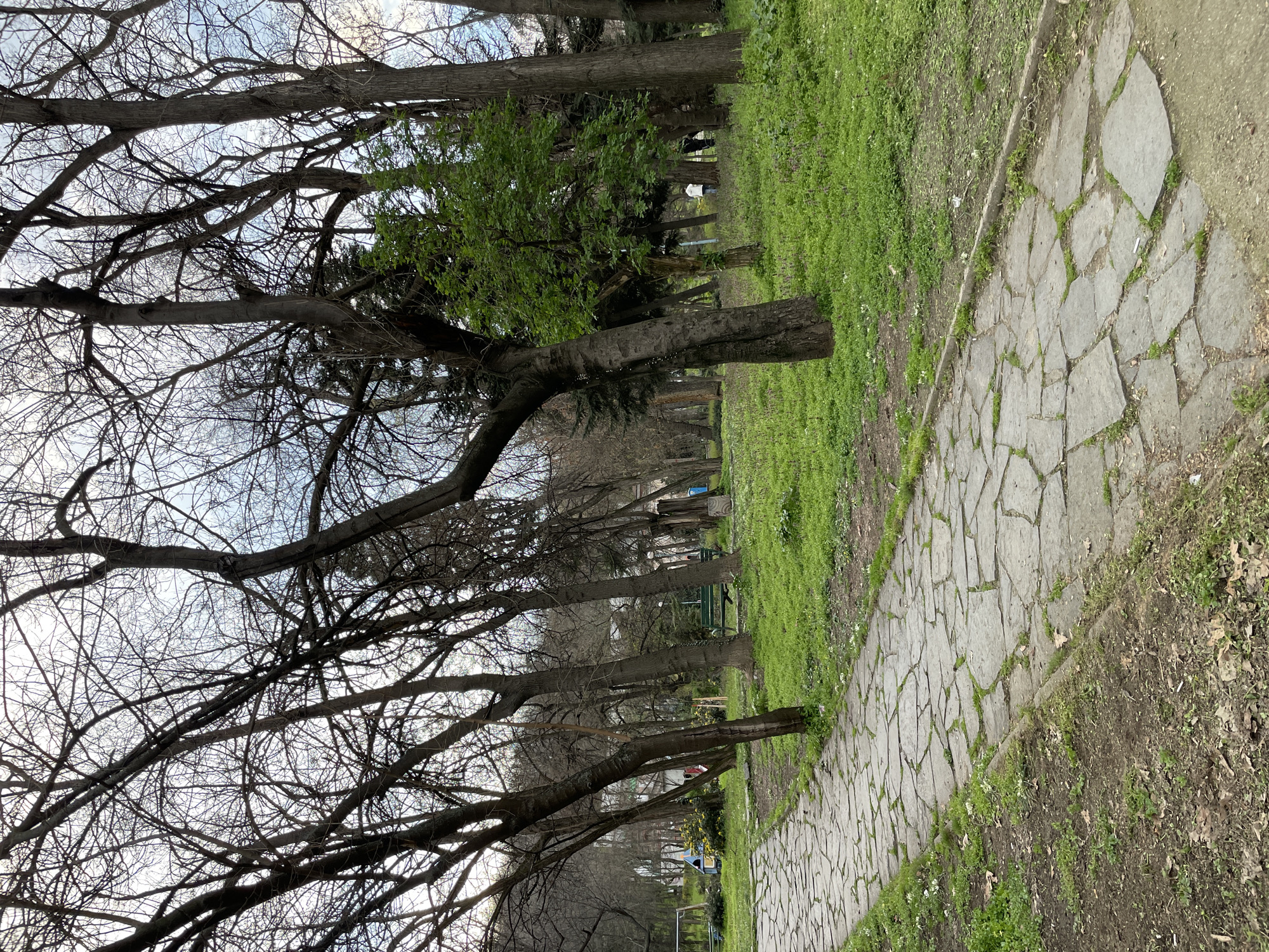 The image depicts a park scene in Plovdiv, Bulgaria. A stone-paved pathway extends into the distance, bordered by green grass on one side and bare earth on the other. Trees line the path, some with bare branches reaching towards the sky, while others are beginning to sprout leaves. In the background, park benches and possibly playground equipment can be seen between the trees. The sky is visible through the branches.